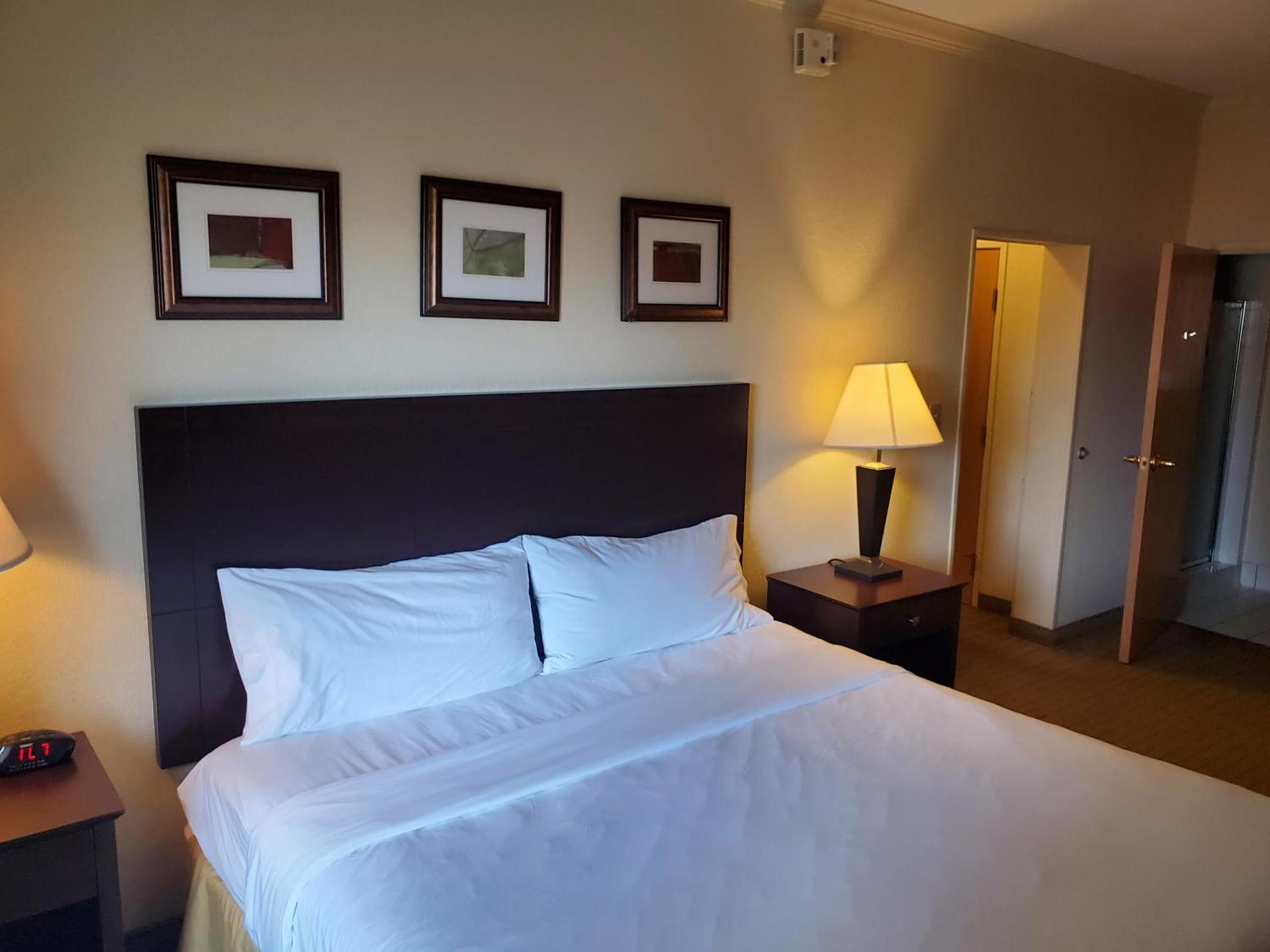 The Arc Hotel photo 15