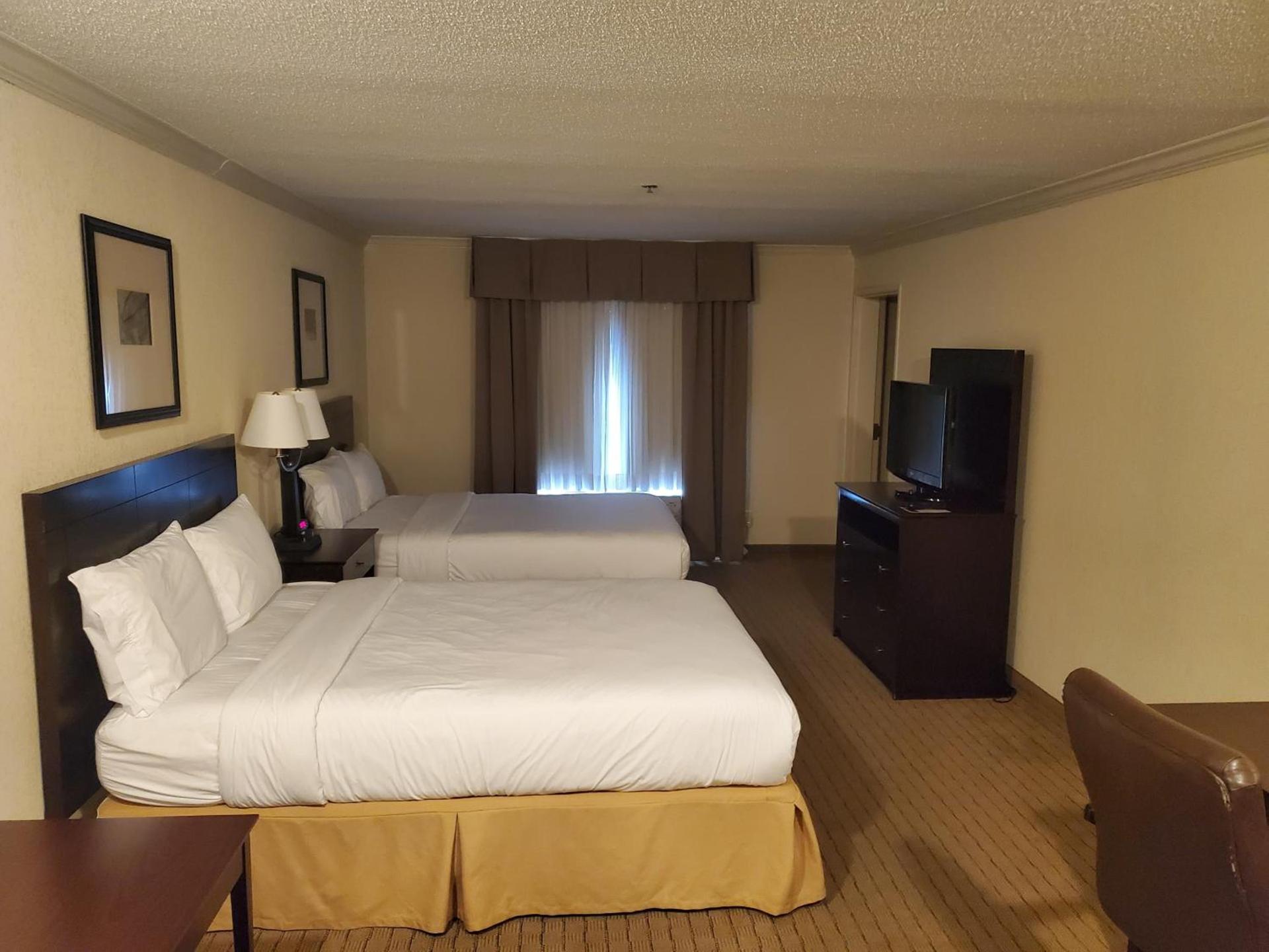 The Arc Hotel photo 17