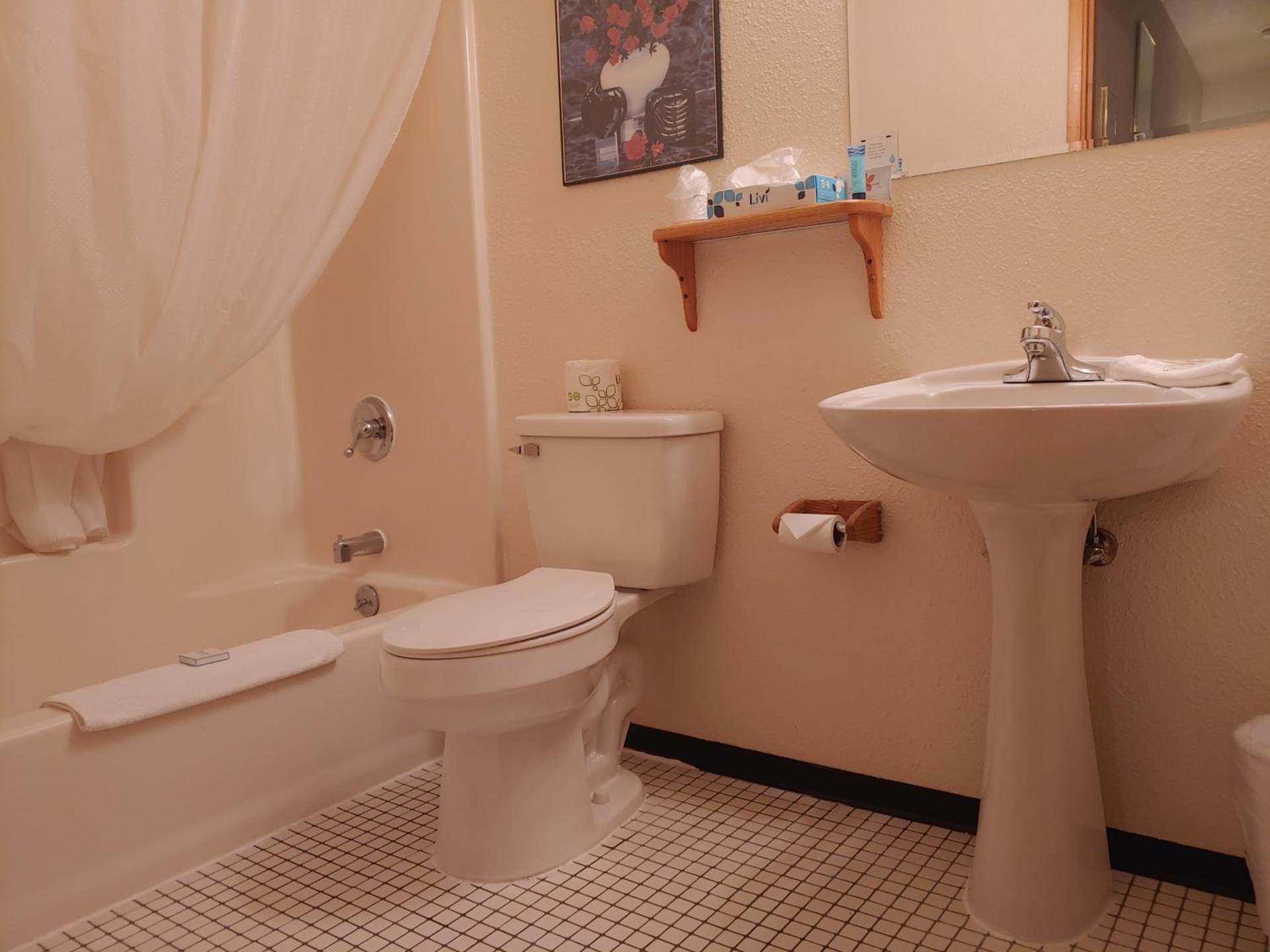 The Dublin House Motel photo 3