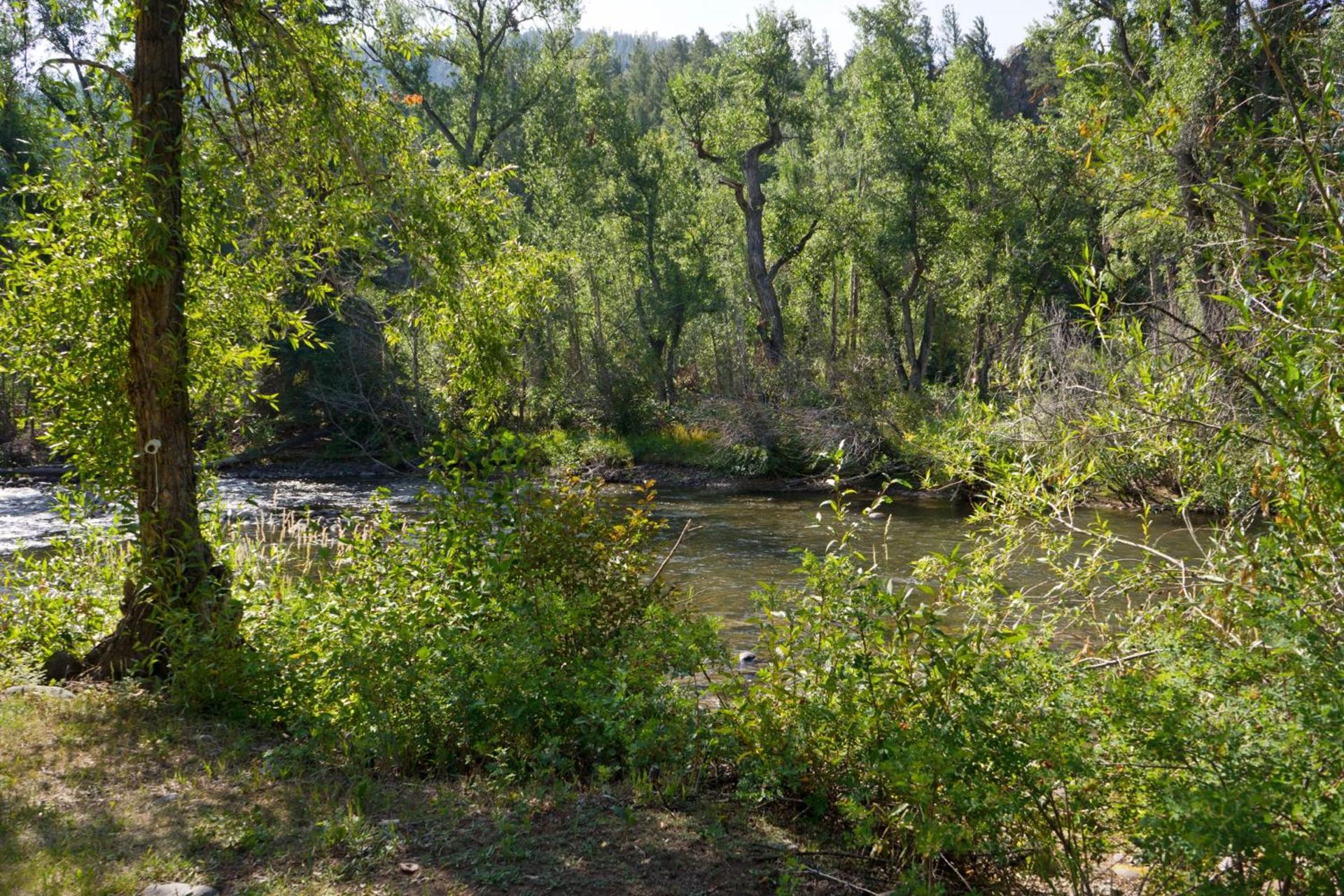 Four Seasons Lodge photo 6