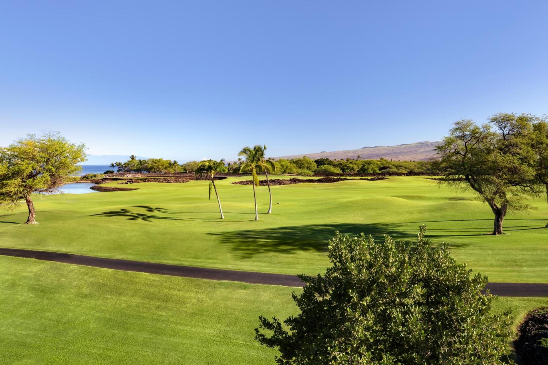 Fairmont Orchid photo 31