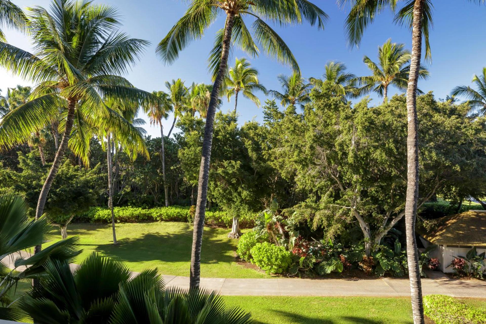 Fairmont Orchid photo 37