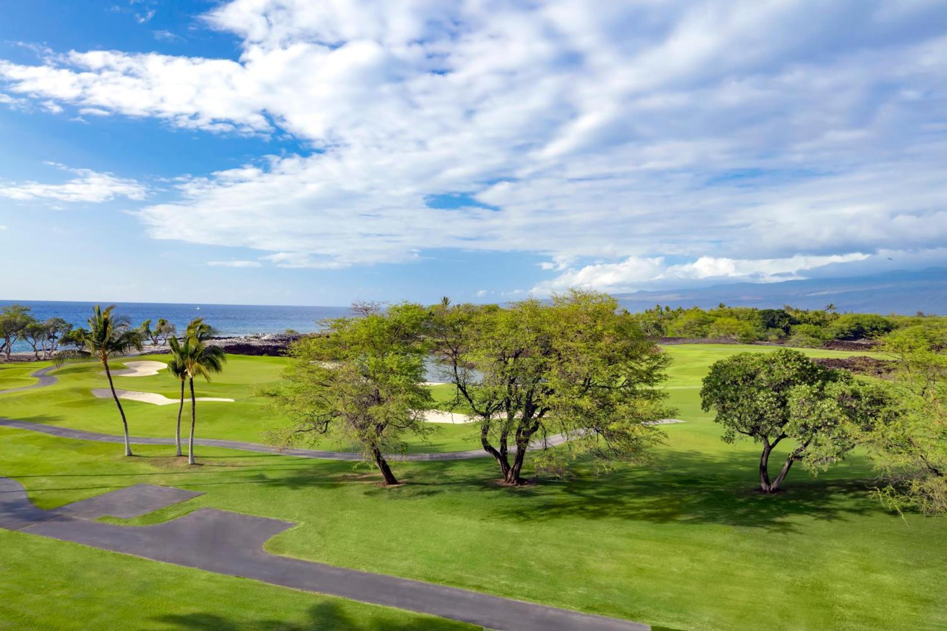 Fairmont Orchid photo 39