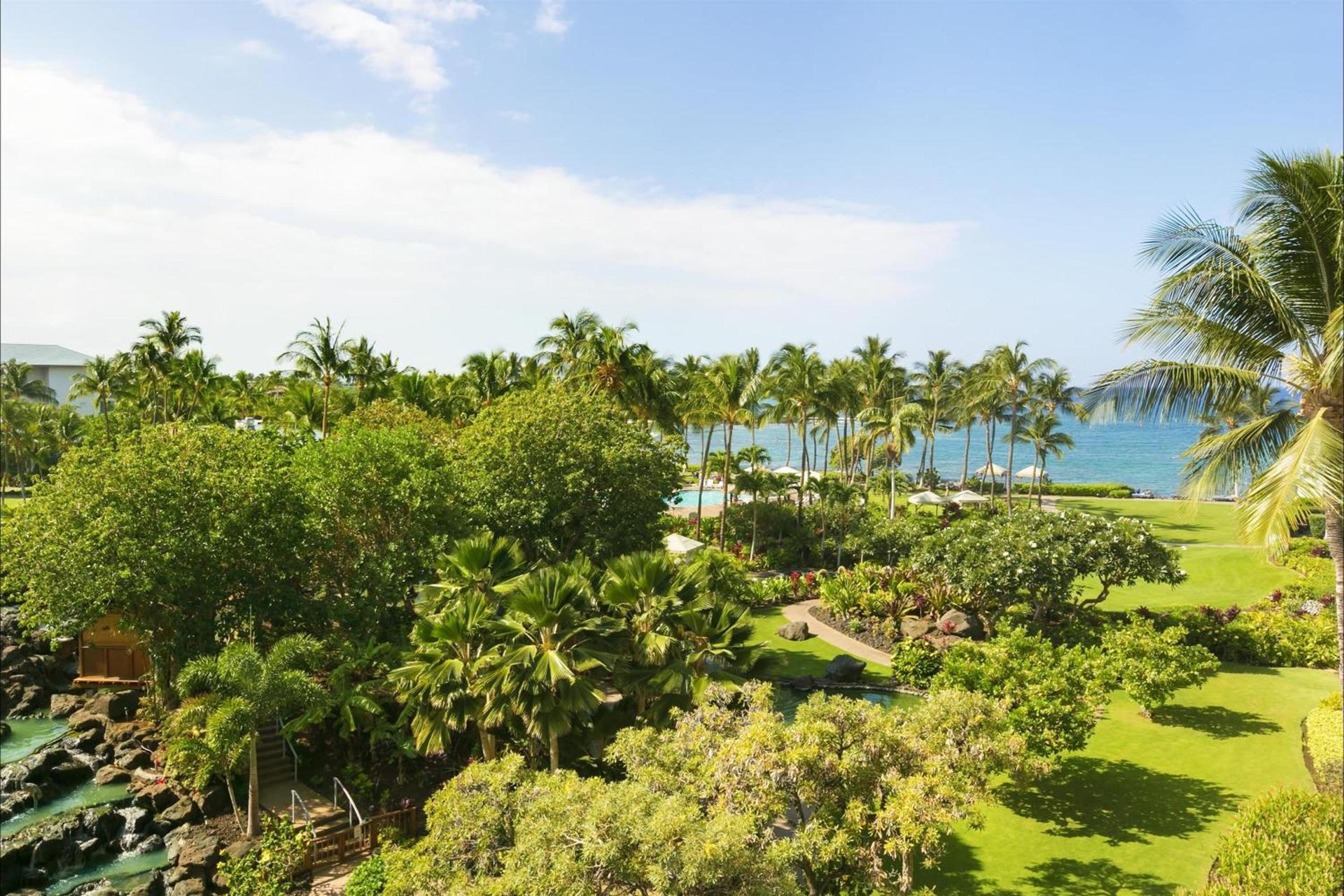 Fairmont Orchid photo 44