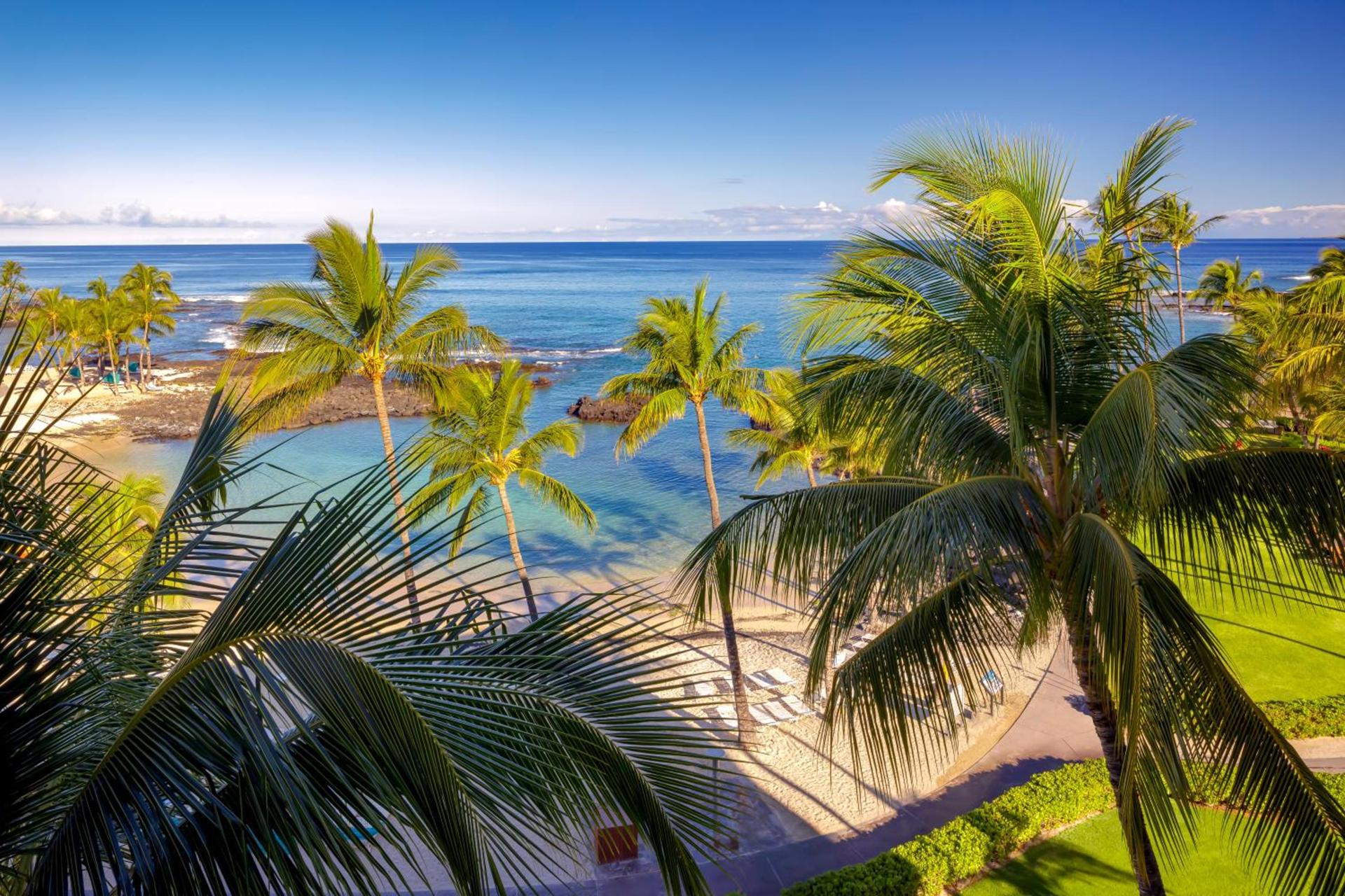 Fairmont Orchid photo 43