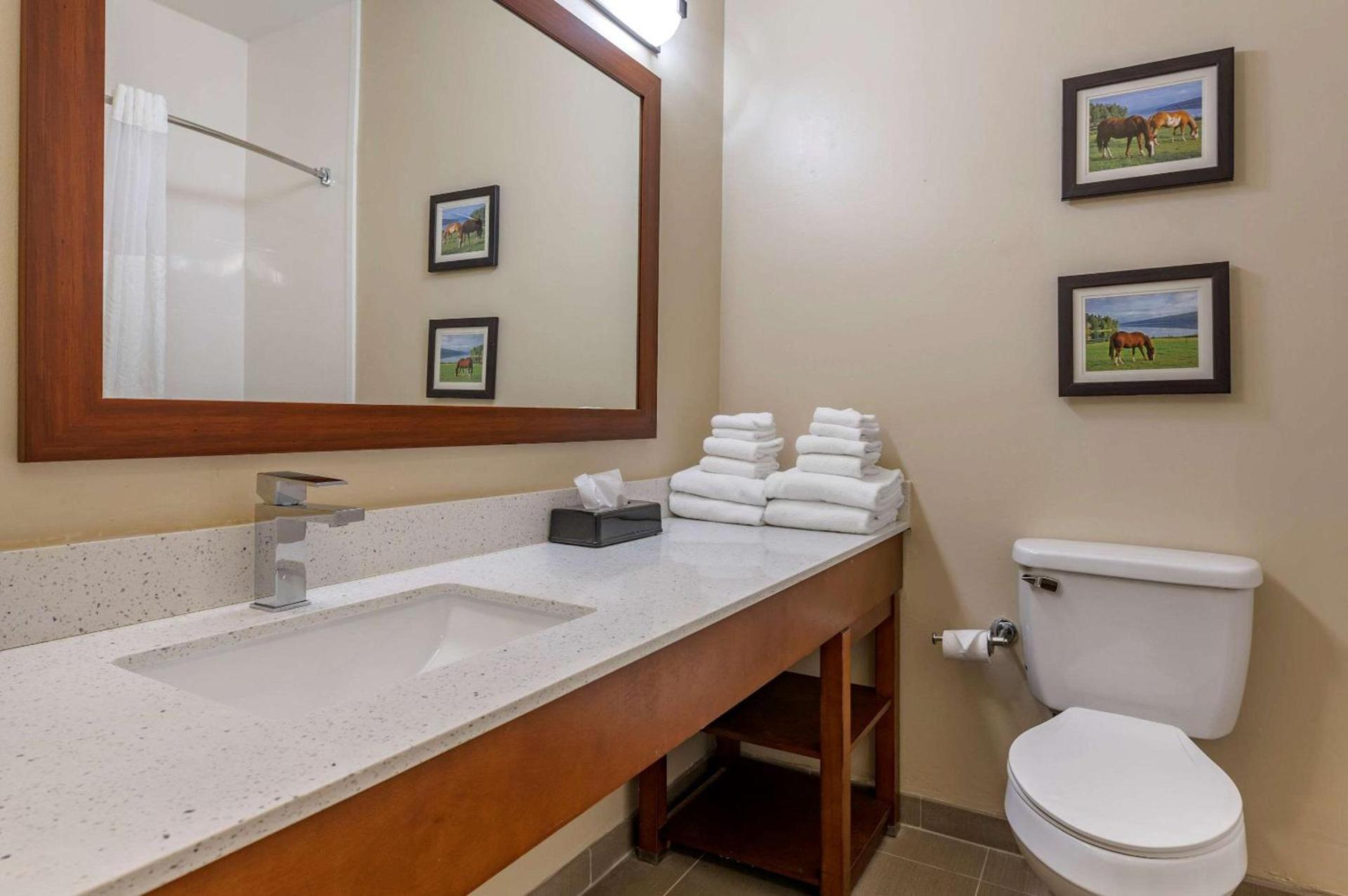 Comfort Suites Keeneland photo 34