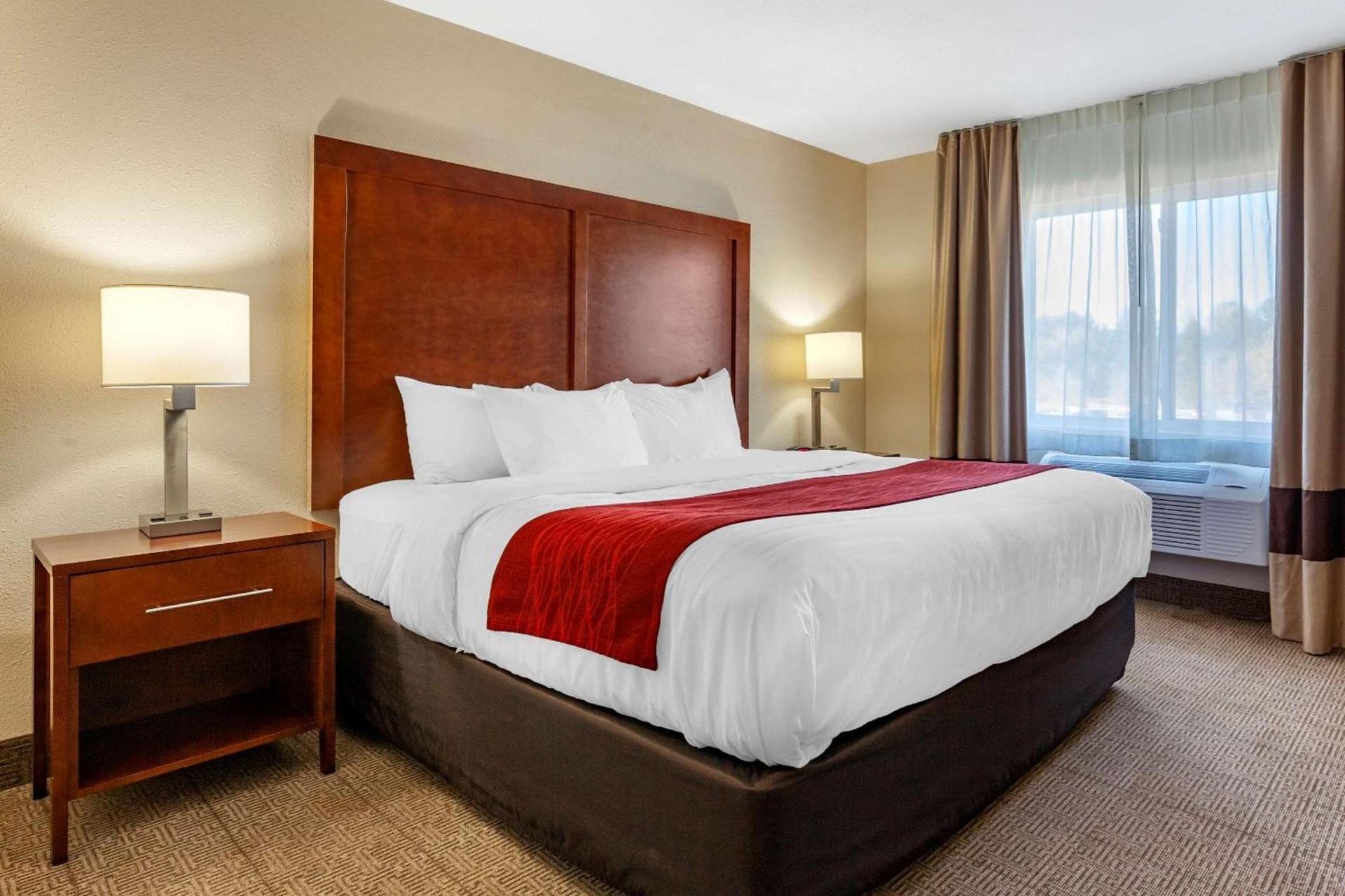 Comfort Inn Rhinelander photo 25