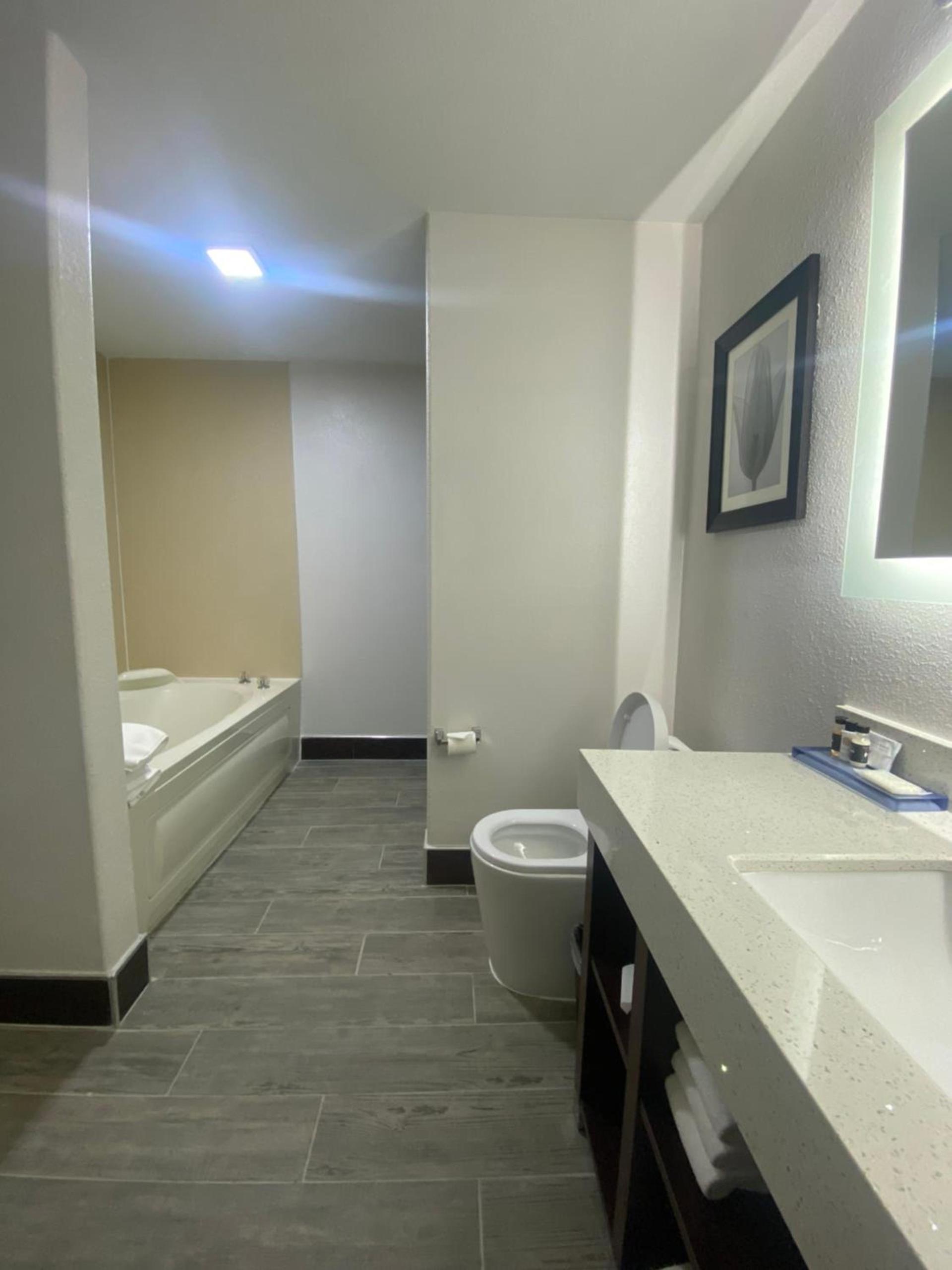 The Leo Collection Detroit, an Ascend Collection Hotel photo 85