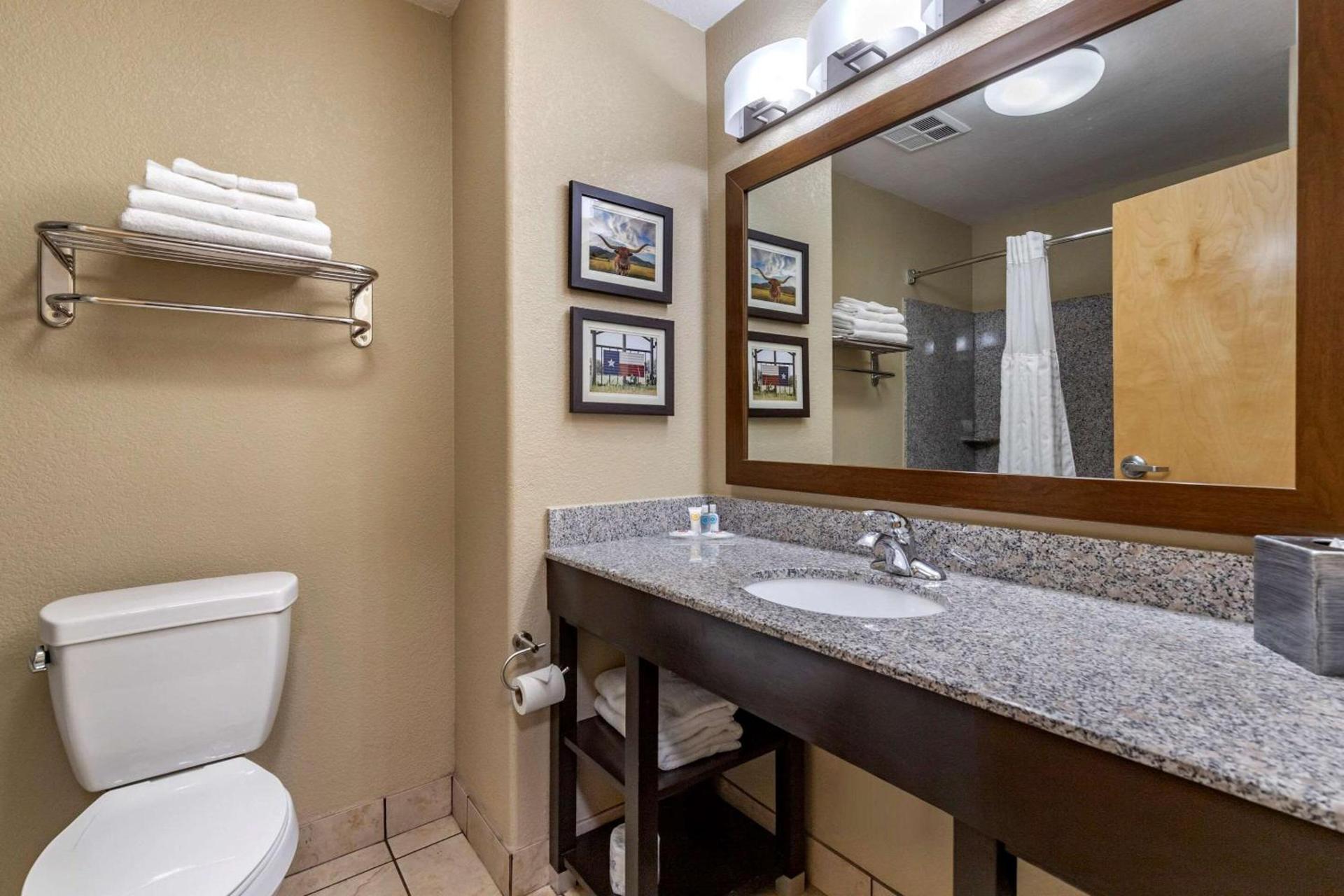 Comfort Suites Georgetown photo 16