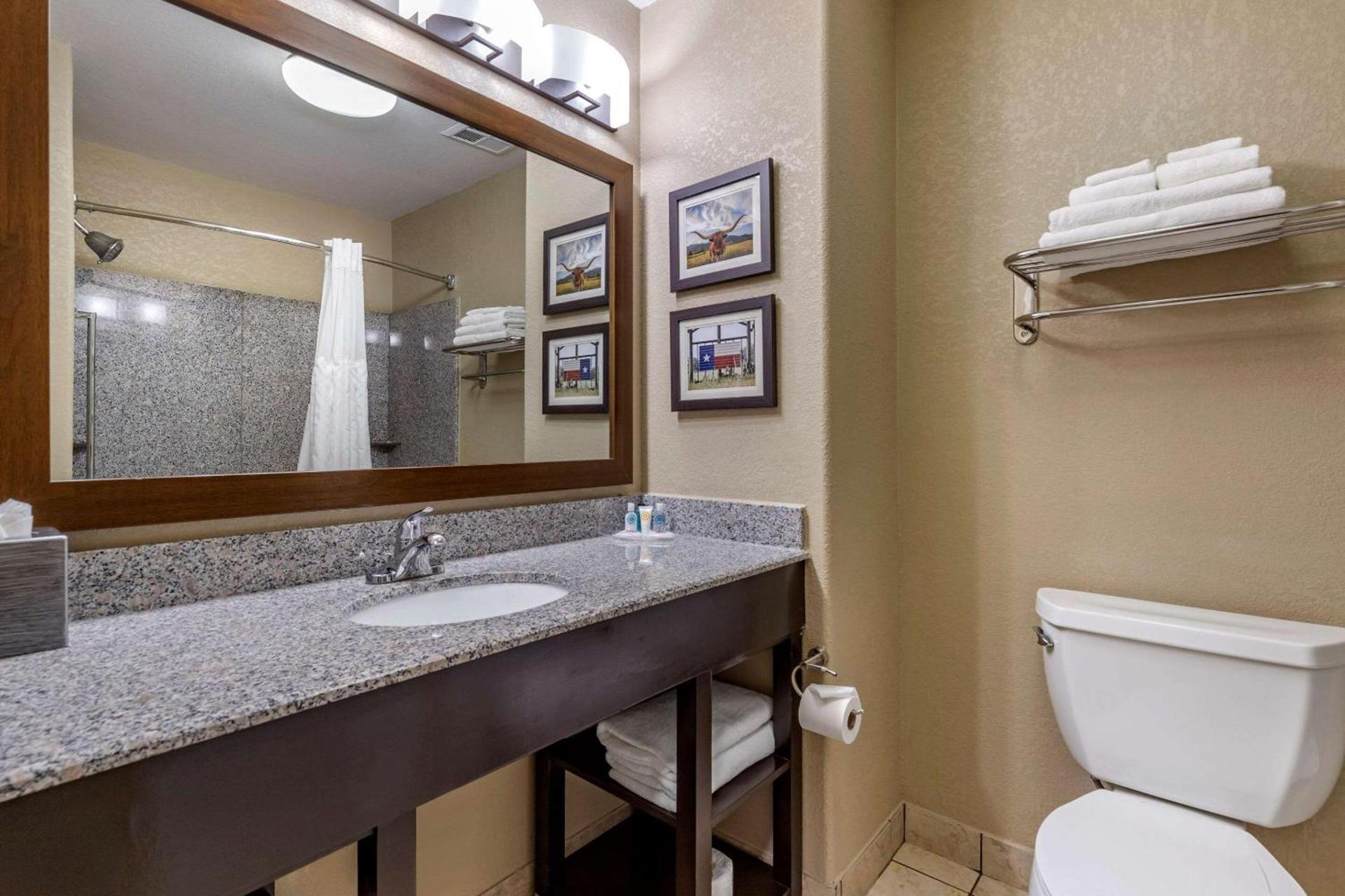 Comfort Suites Georgetown photo 20
