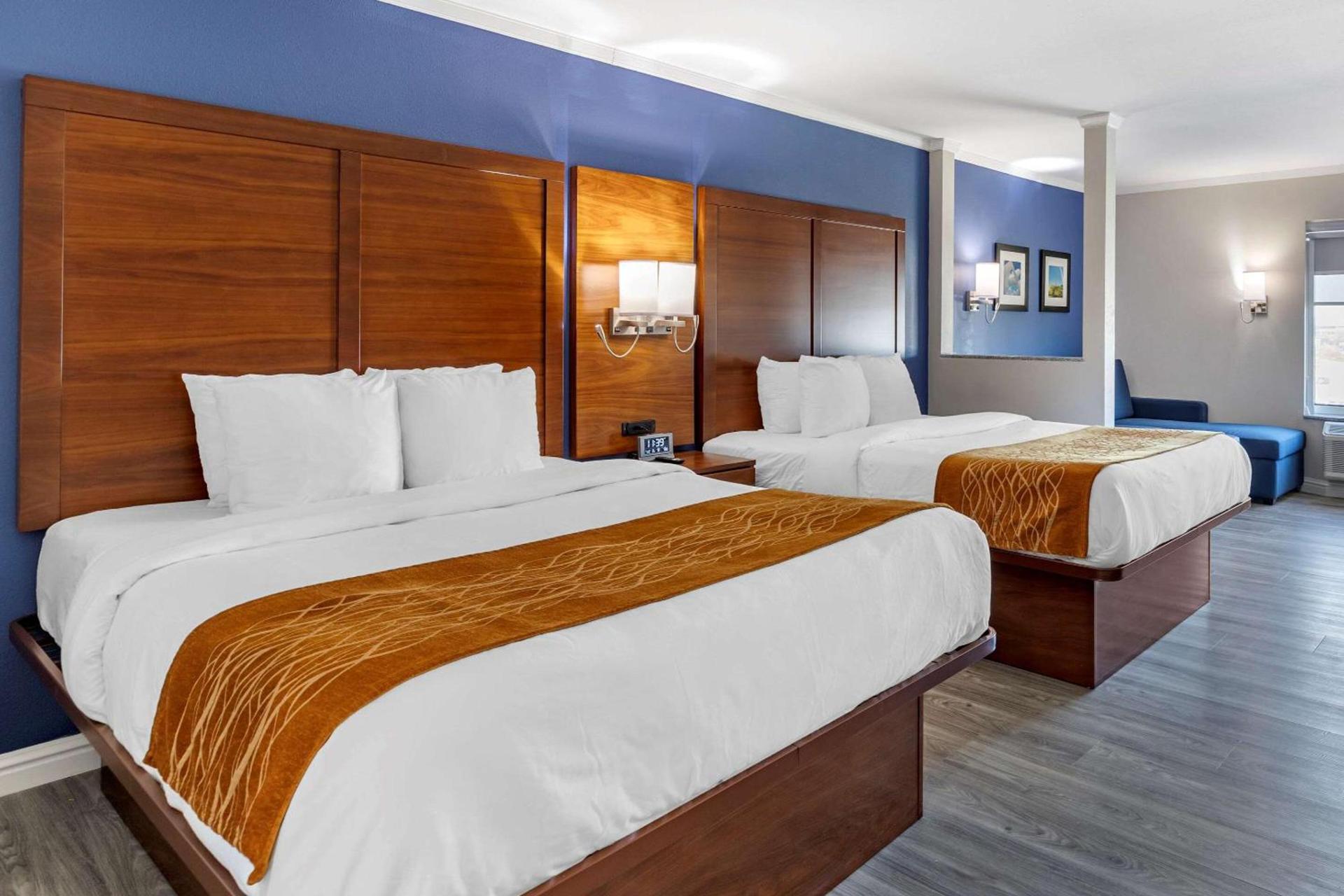 Comfort Suites St Louis - Sunset Hills photo 11
