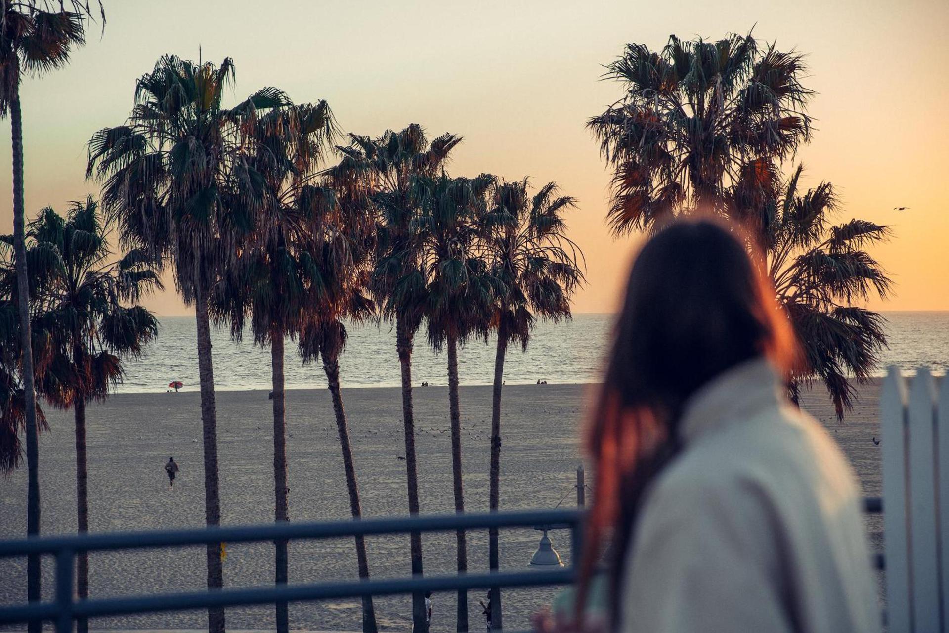 STAY OPEN Venice Beach photo 1