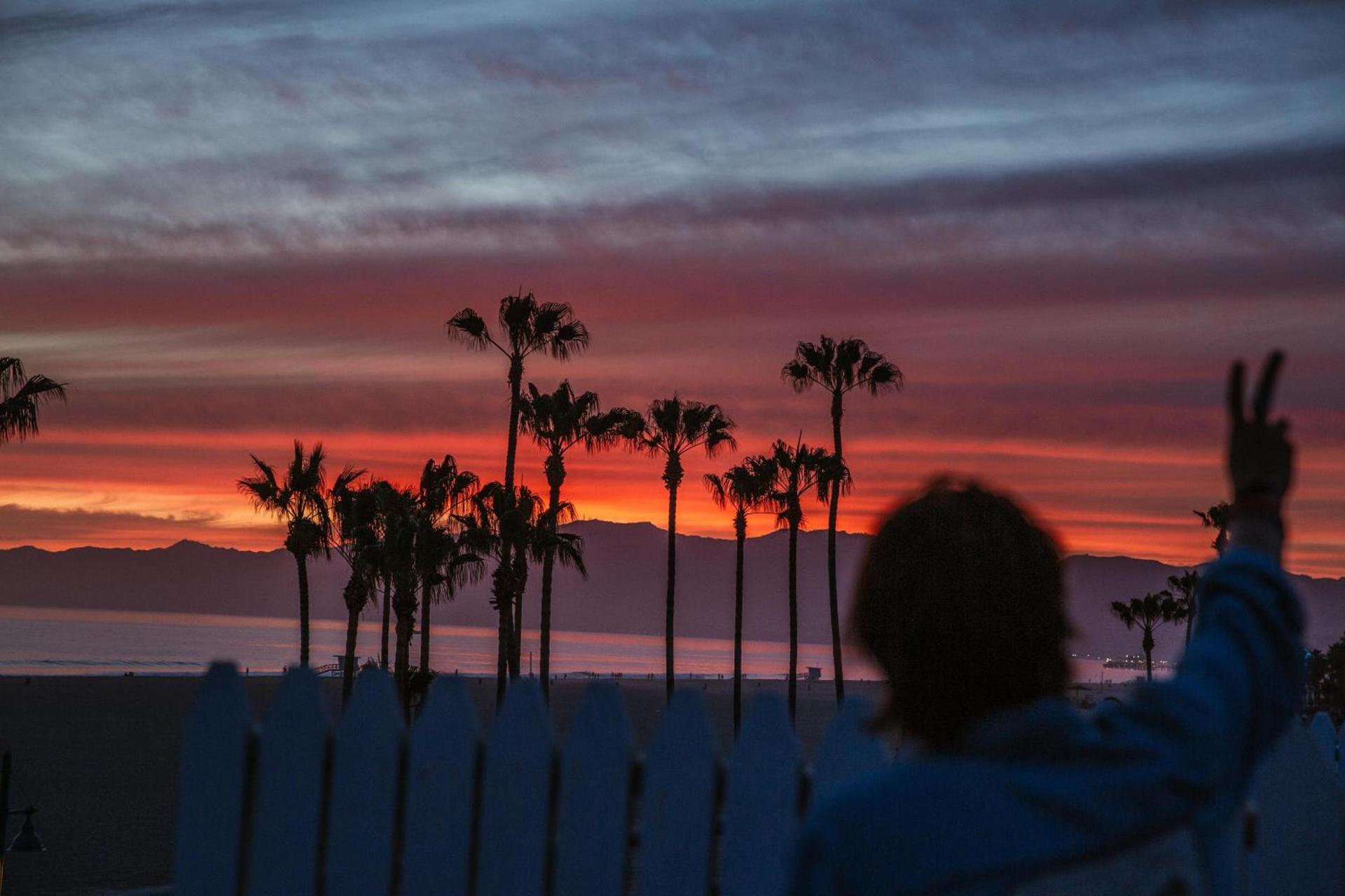 STAY OPEN Venice Beach photo 41