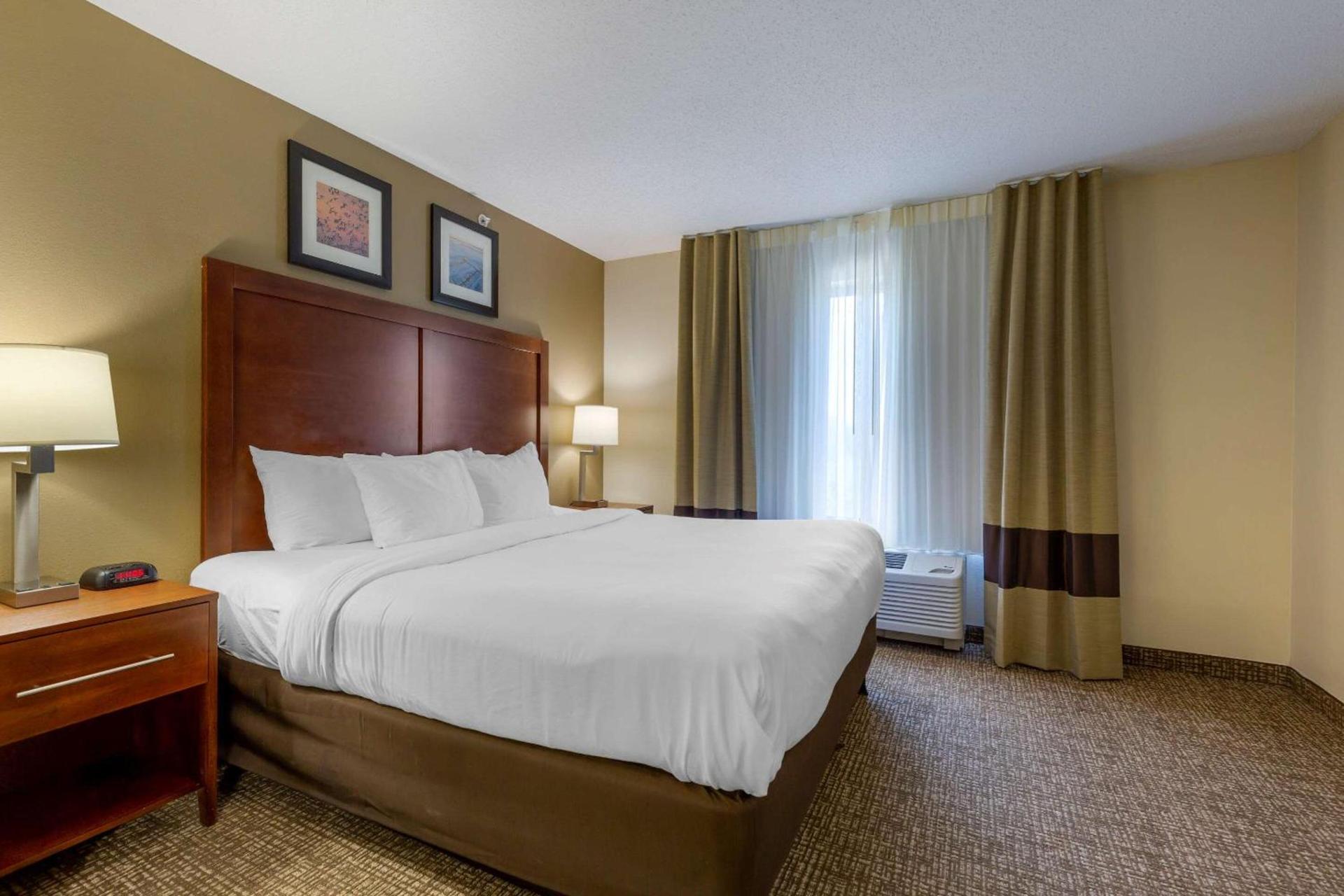 Comfort Inn & Suites Cambridge photo 9