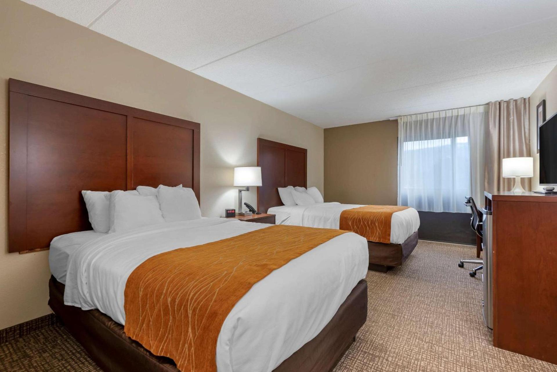 Comfort Inn Binghamton I-81 photo 6