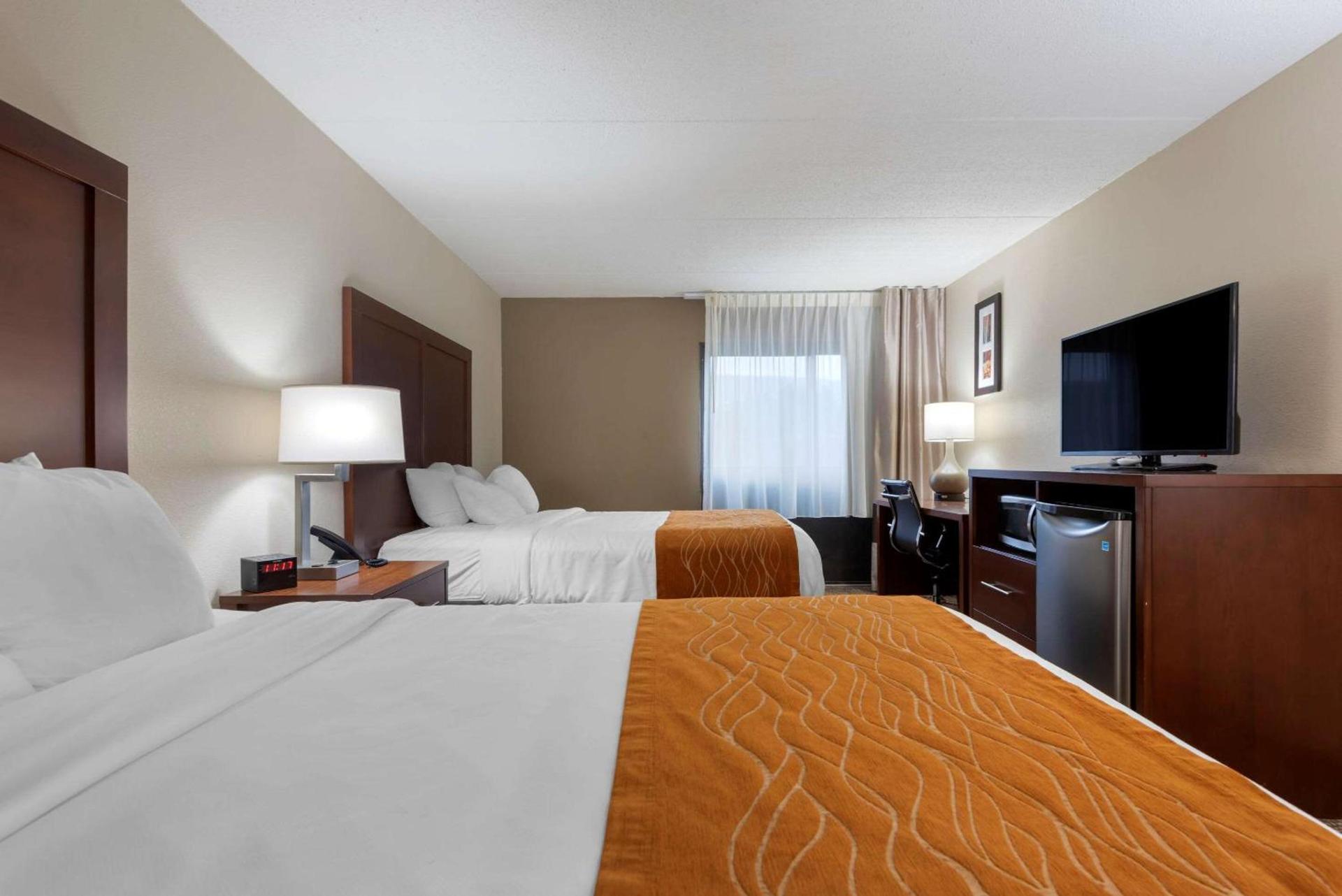 Comfort Inn Binghamton I-81 photo 7