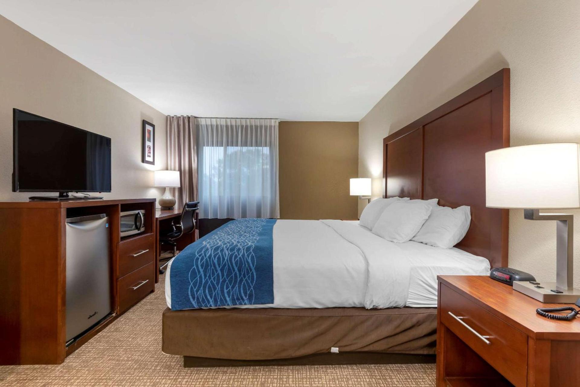 Comfort Inn Binghamton I-81 photo 14