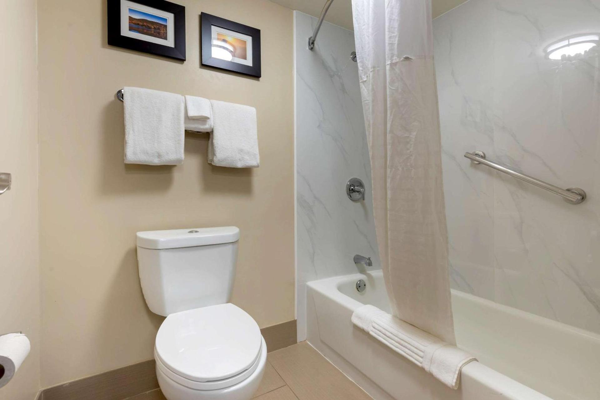 Comfort Inn Binghamton I-81 photo 15