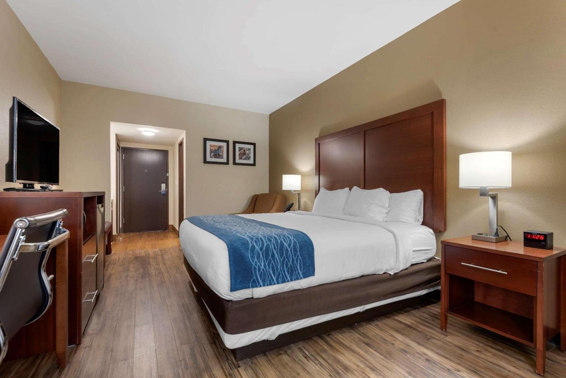Comfort Inn Binghamton I-81 photo 18