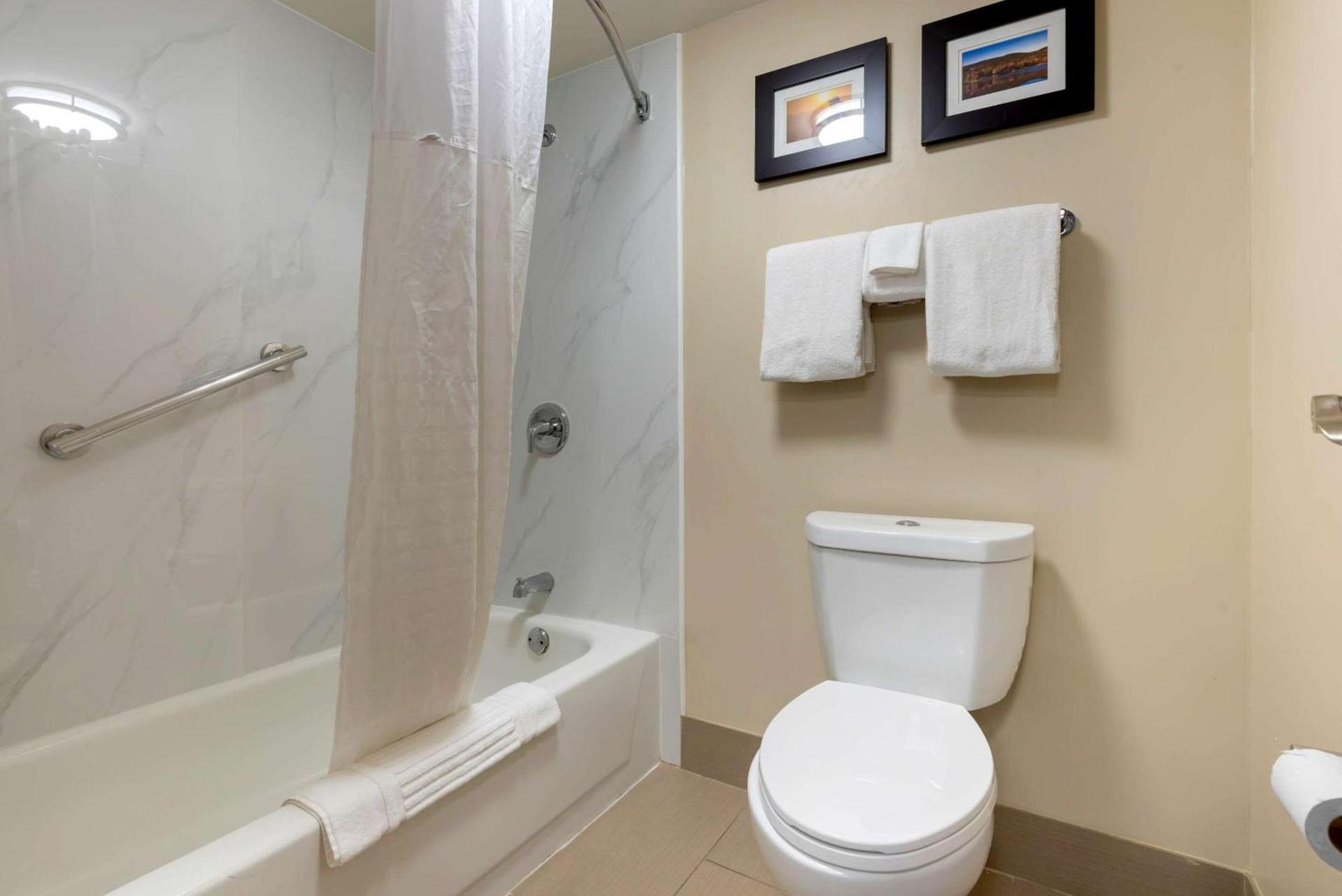 Comfort Inn Binghamton I-81 photo 19