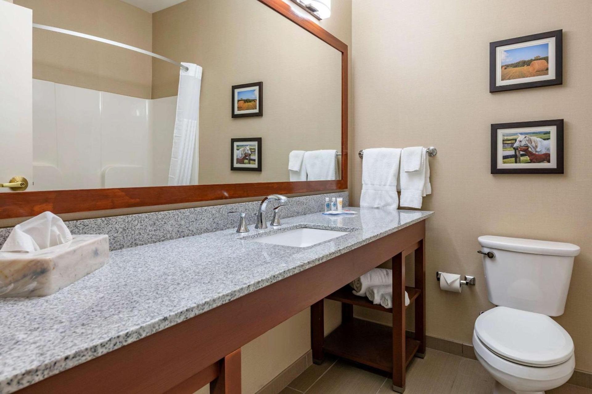 Comfort Inn & Suites Northern Kentucky photo 5
