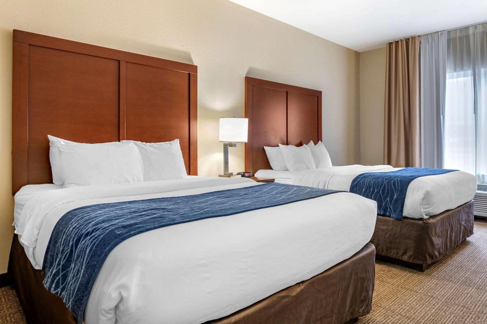 Comfort Inn & Suites Northern Kentucky photo 8