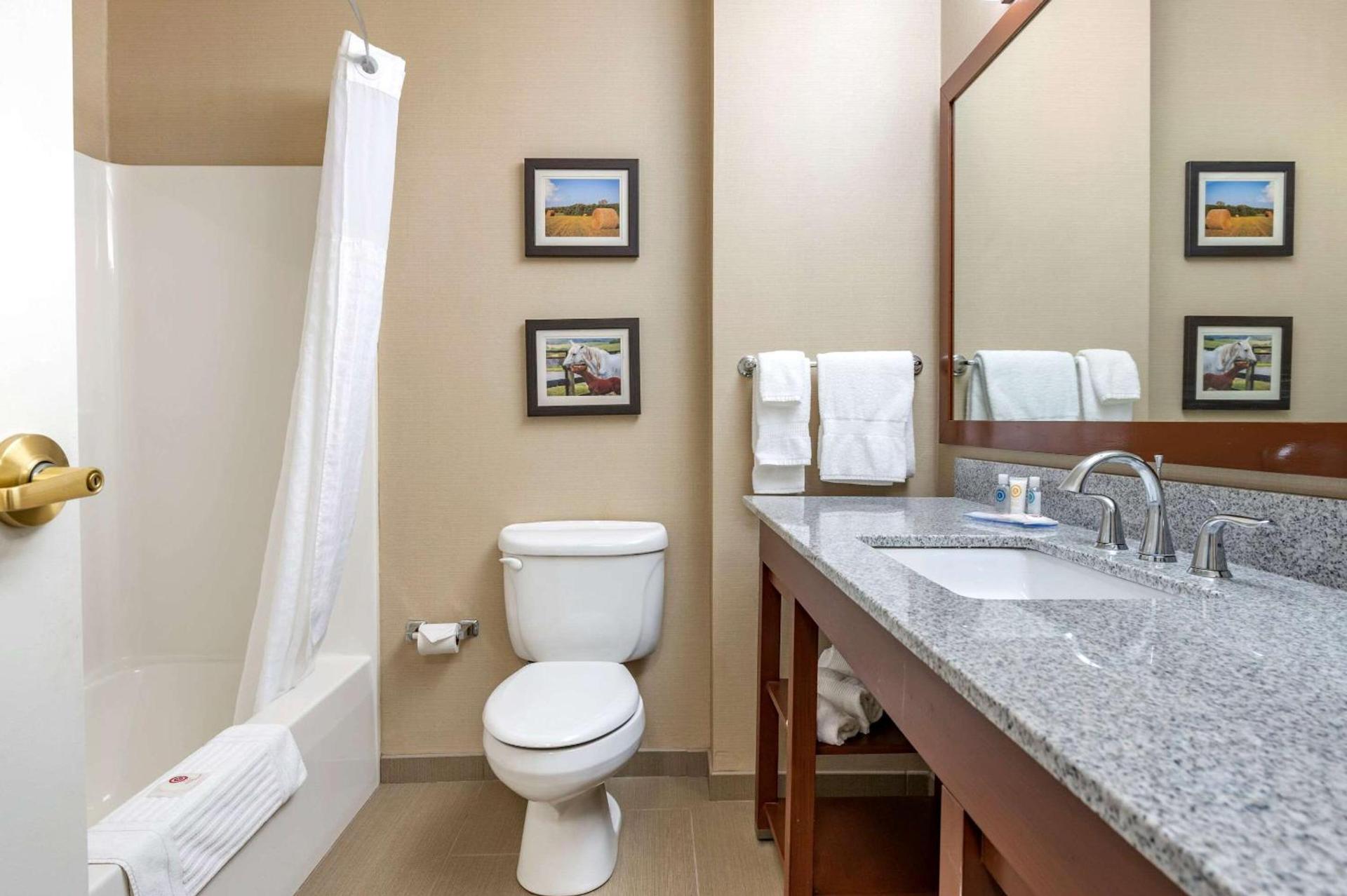 Comfort Inn & Suites Northern Kentucky photo 9