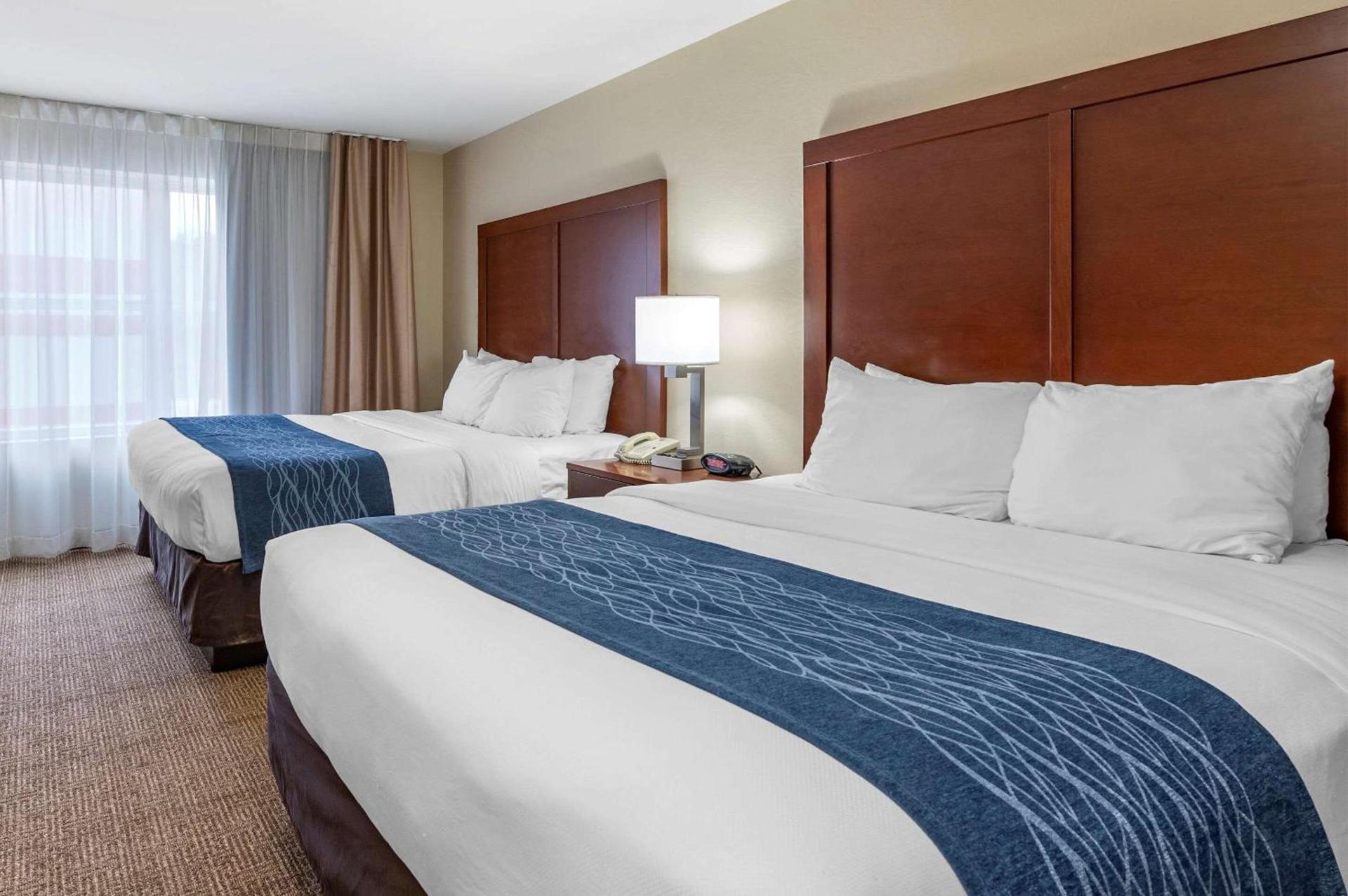 Comfort Inn & Suites Northern Kentucky photo 17