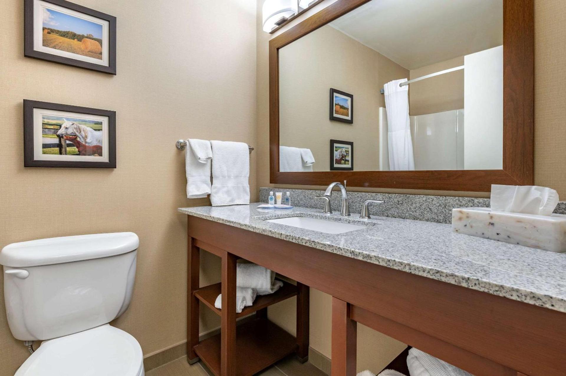 Comfort Inn & Suites Northern Kentucky photo 19