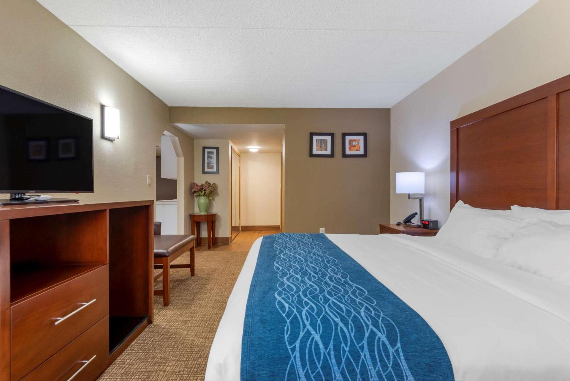Comfort Inn Binghamton I-81 photo 24