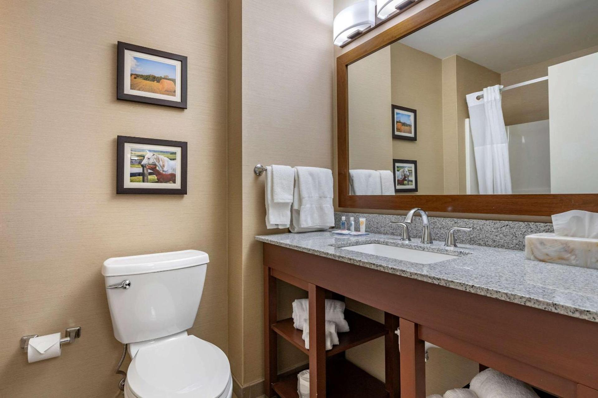 Comfort Inn & Suites Northern Kentucky photo 27