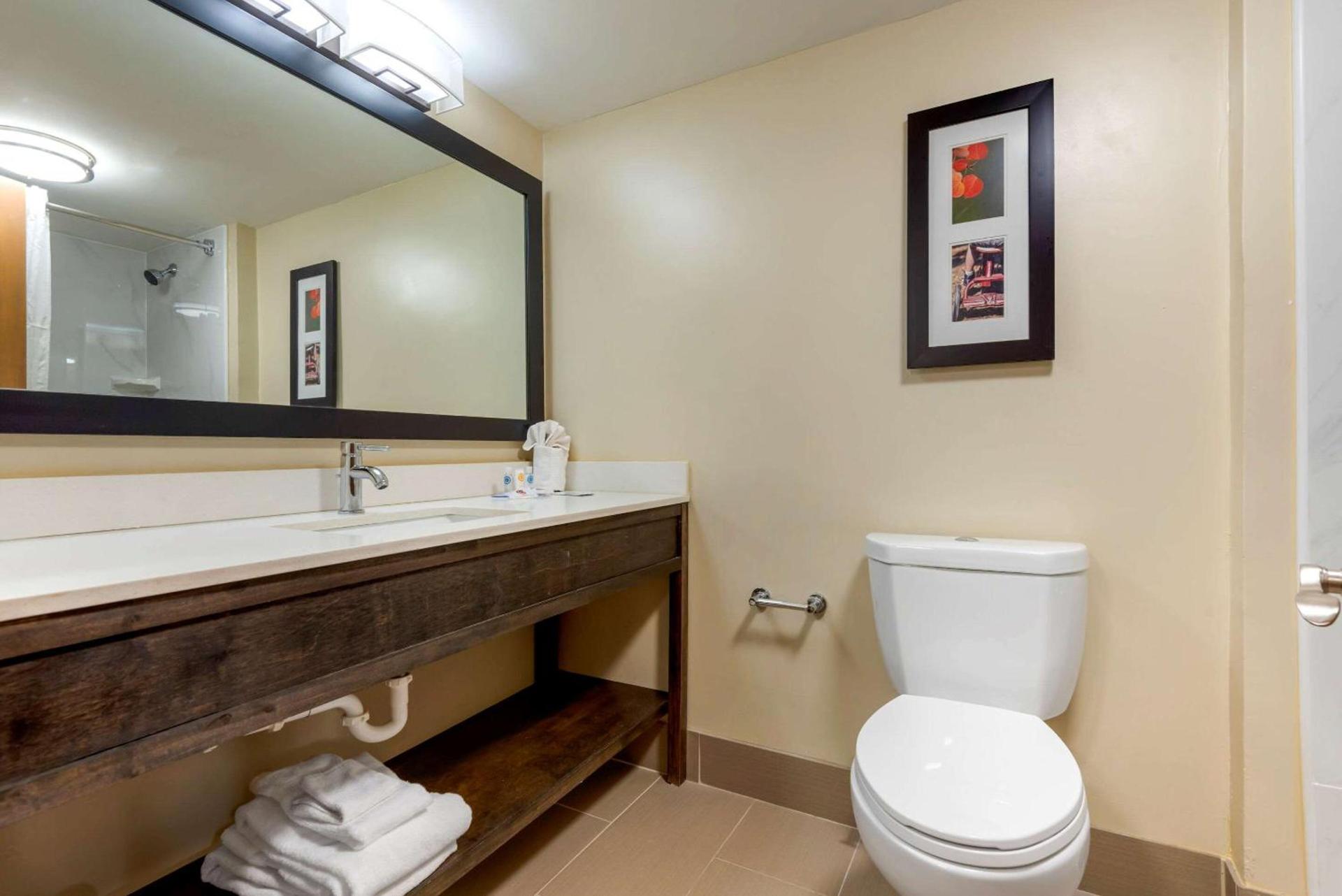 Comfort Inn Binghamton I-81 photo 25