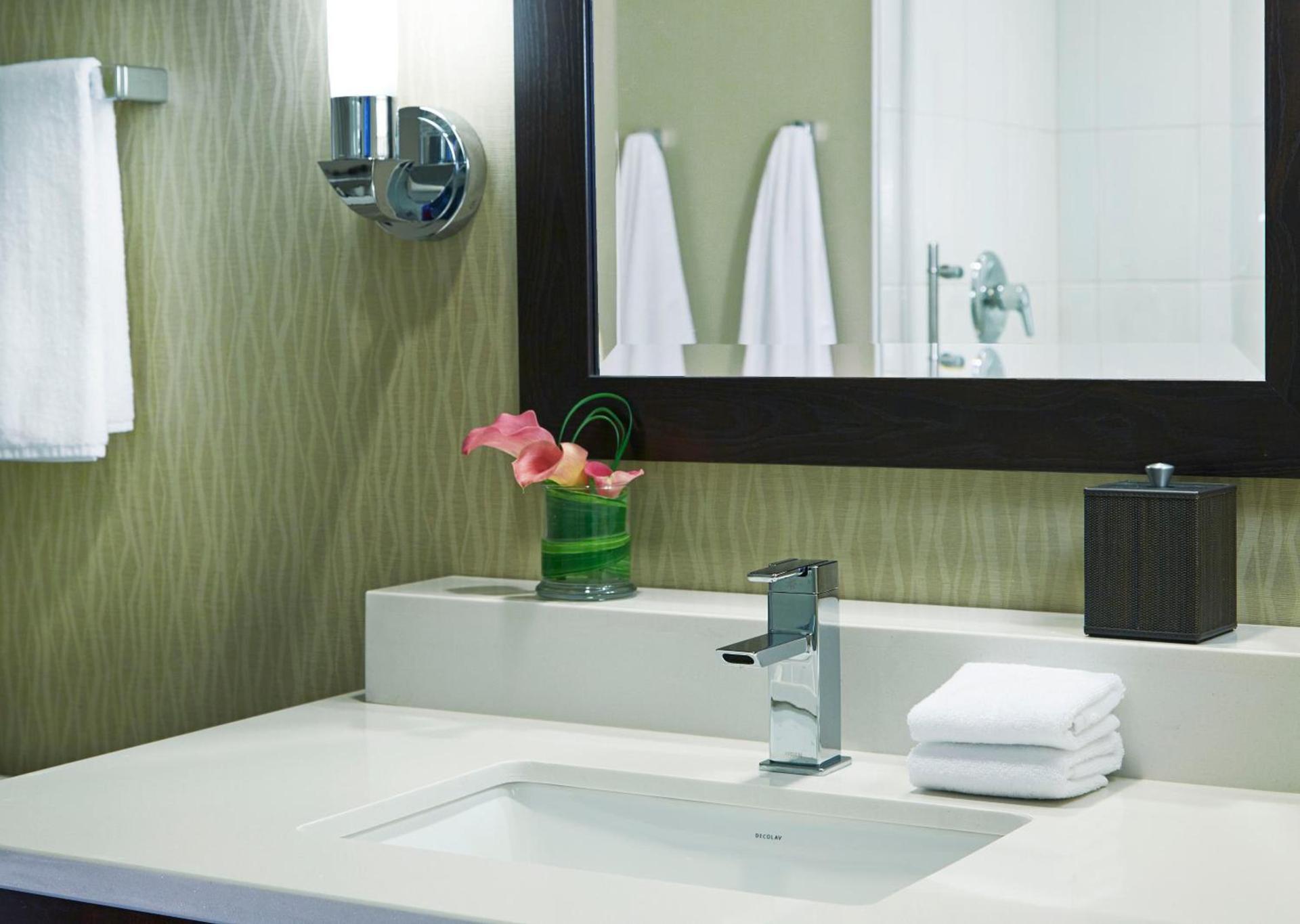 Hyatt Regency Atlanta Perimeter at Villa Christina photo 30