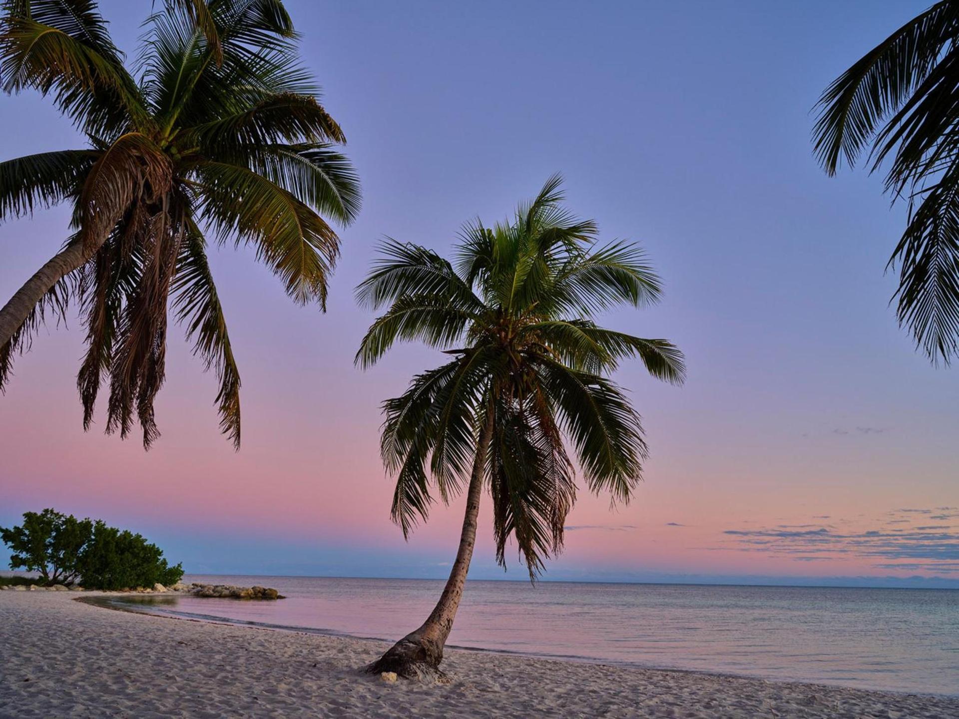 Margaritaville Beach House Key West photo 45
