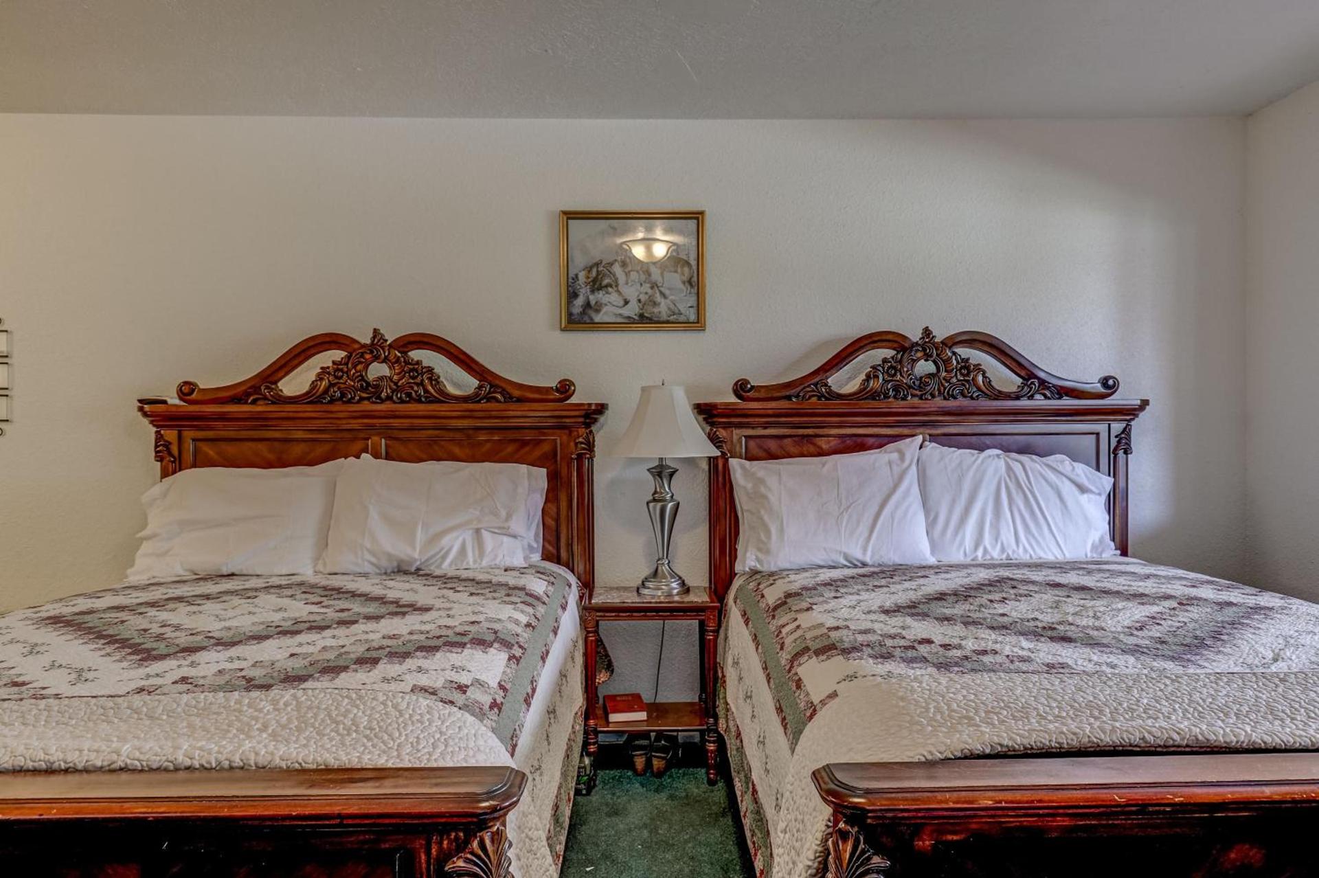 THE SNUGGLE INN photo 39