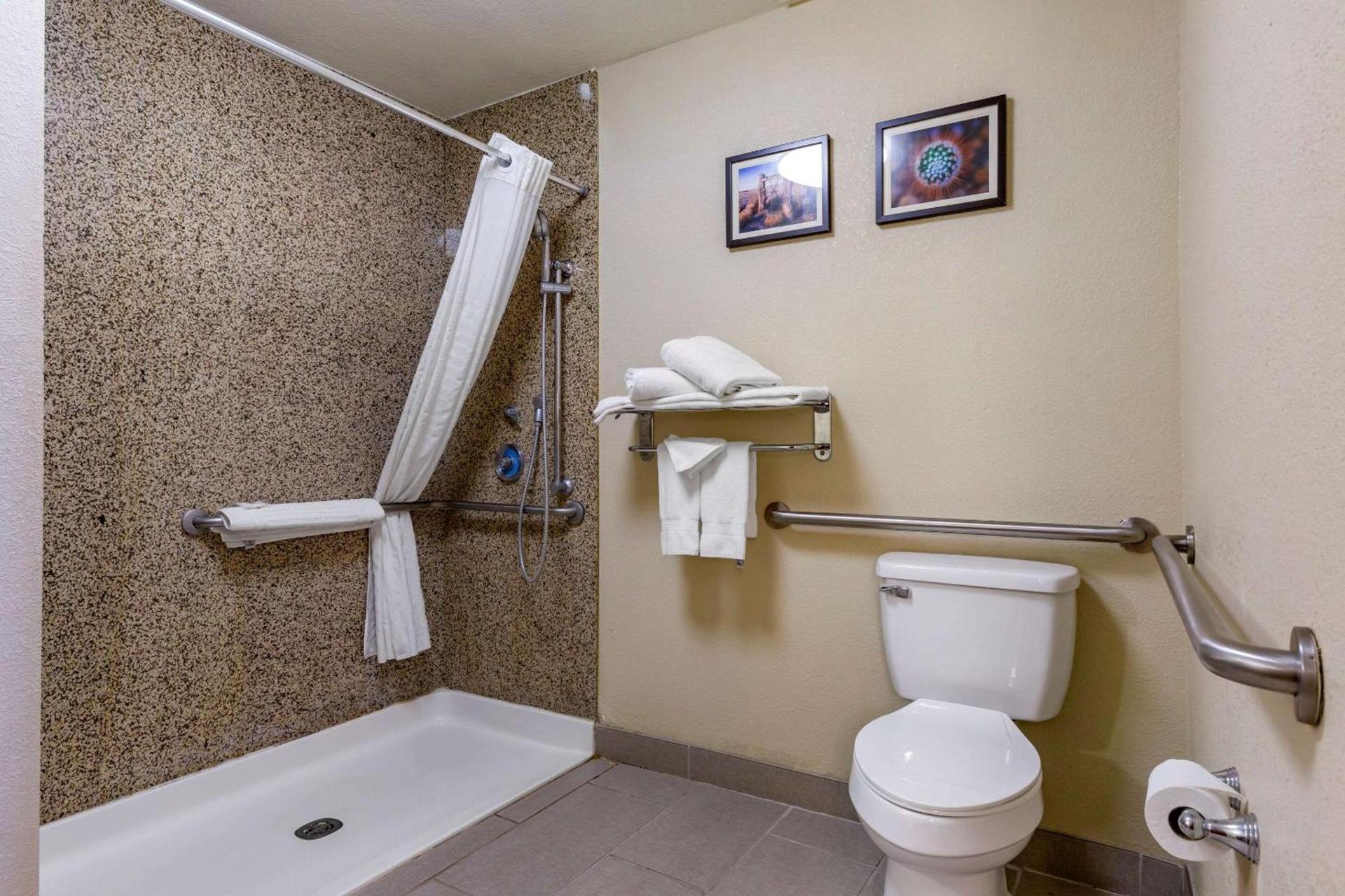Comfort Suites Hobbs photo 8