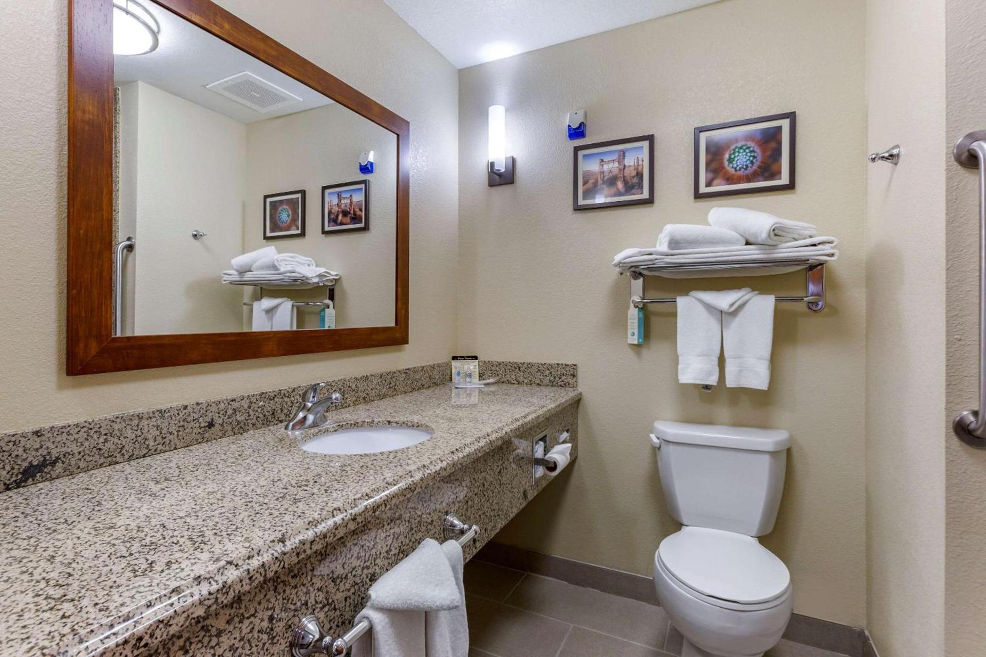 Comfort Suites Hobbs photo 12