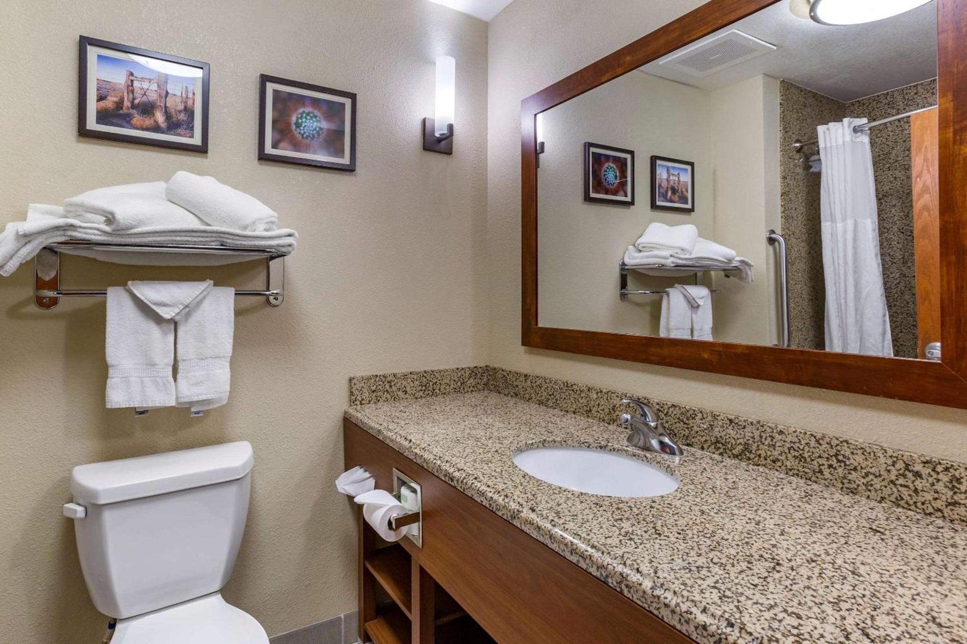 Comfort Suites Hobbs photo 16