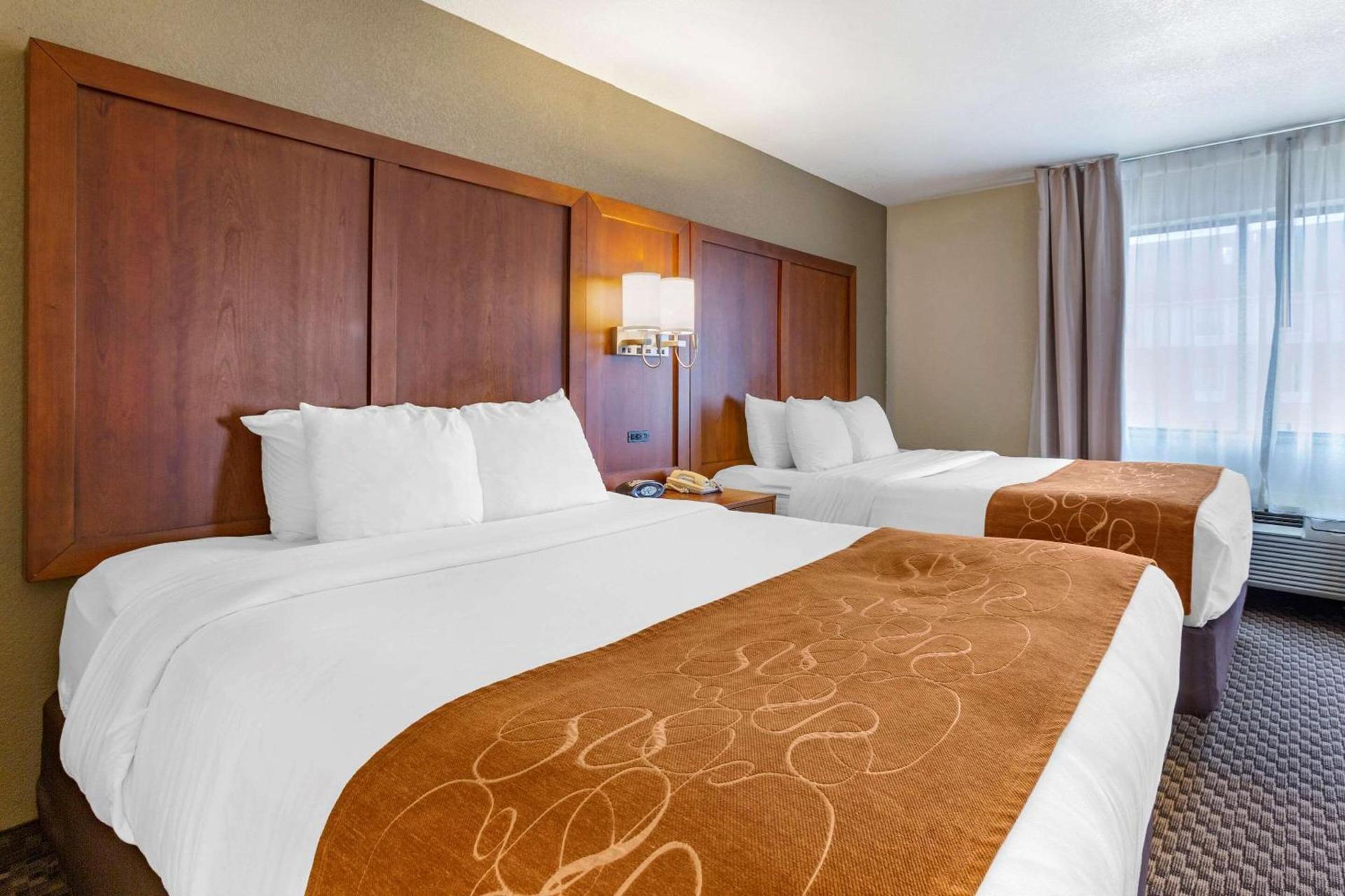 Comfort Suites Hobbs photo 17