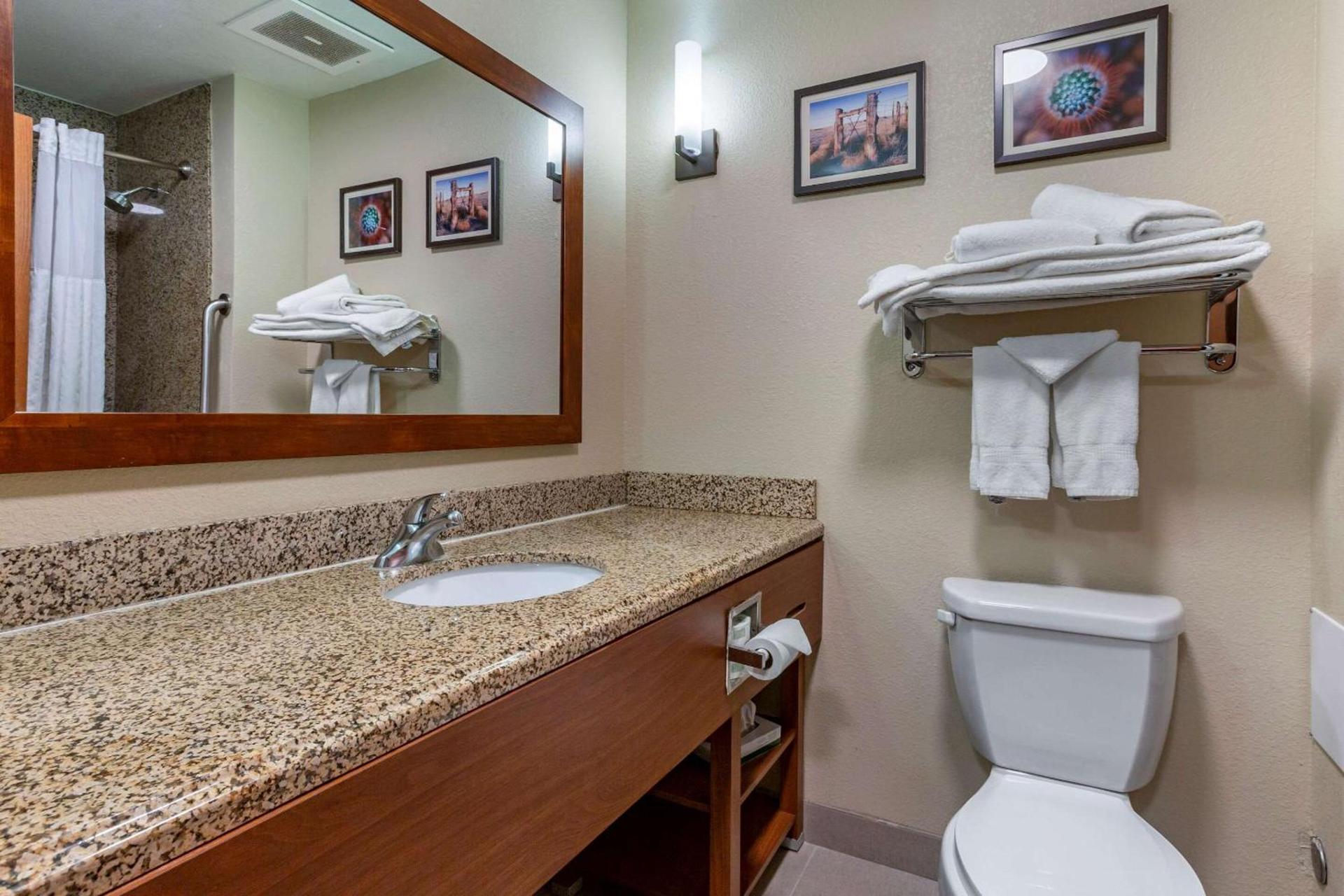 Comfort Suites Hobbs photo 20