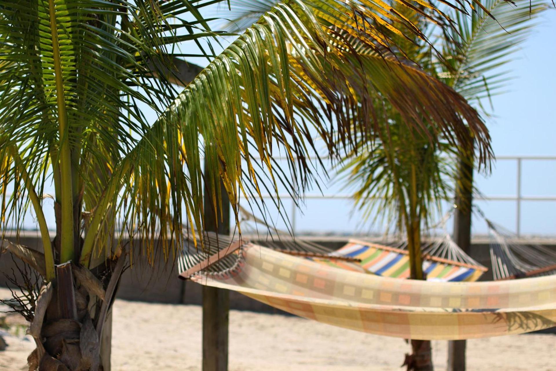 Oceanic Motel photo 12