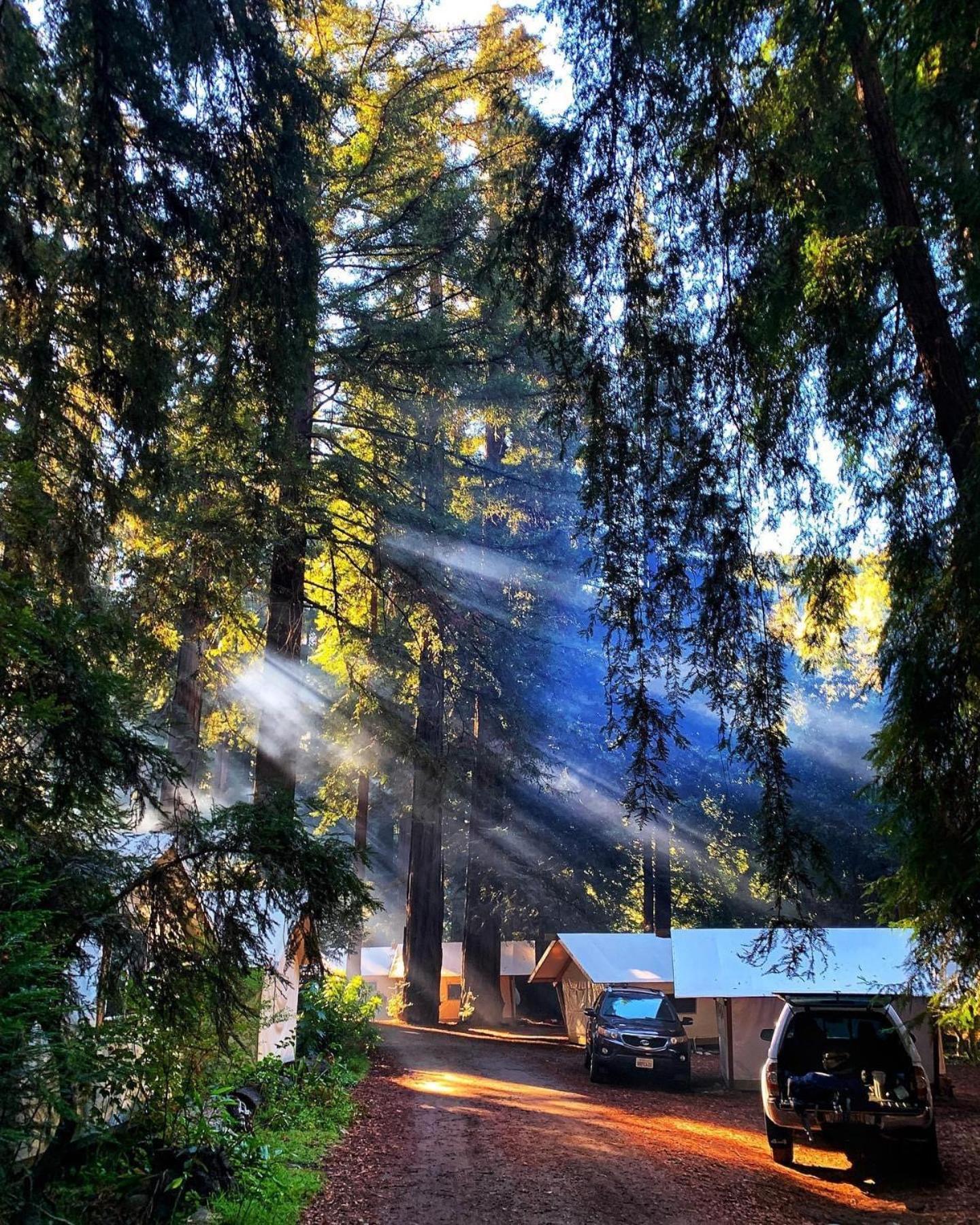 Fernwood Resort photo 13