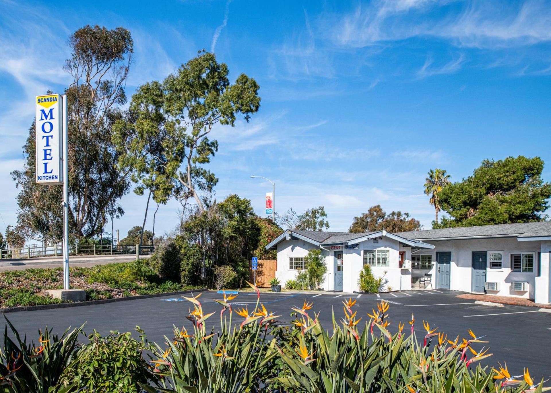 Scandia Motel photo 26