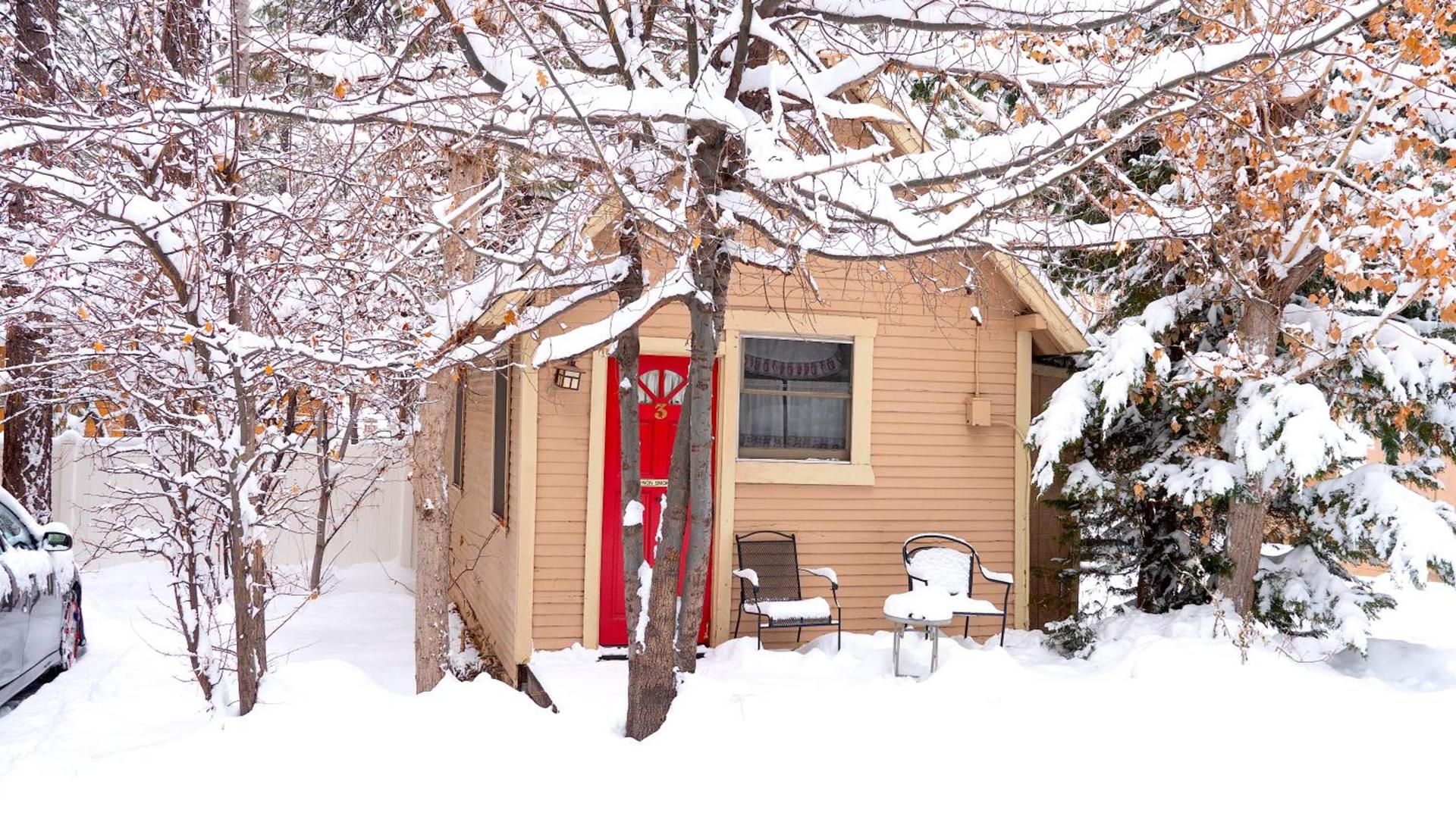 Sleepy Forest Cottages photo 4