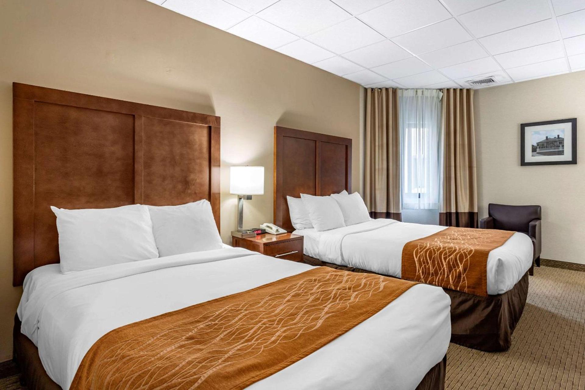 Comfort Inn Syosset-Long Island photo 15