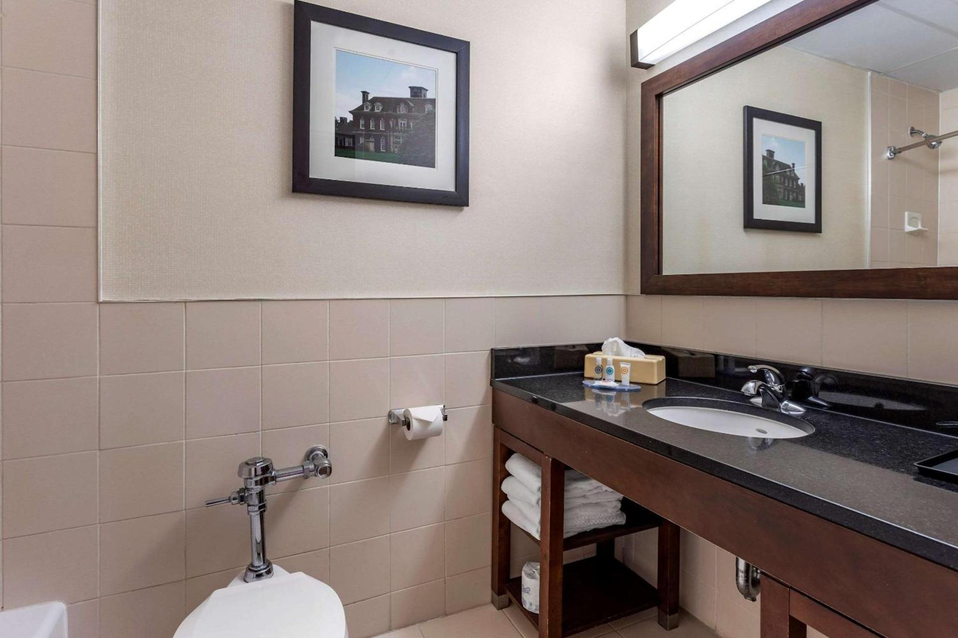 Comfort Inn Syosset-Long Island photo 18