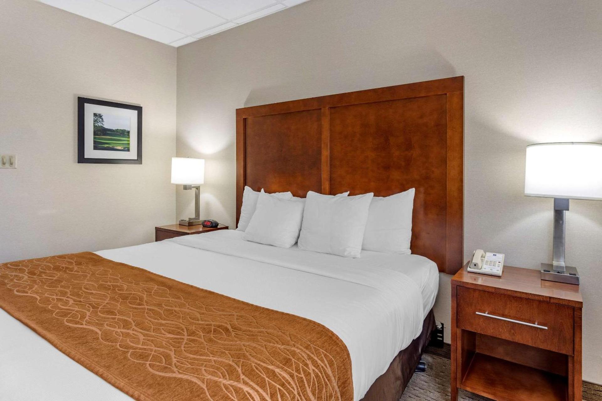 Comfort Inn Syosset-Long Island photo 28