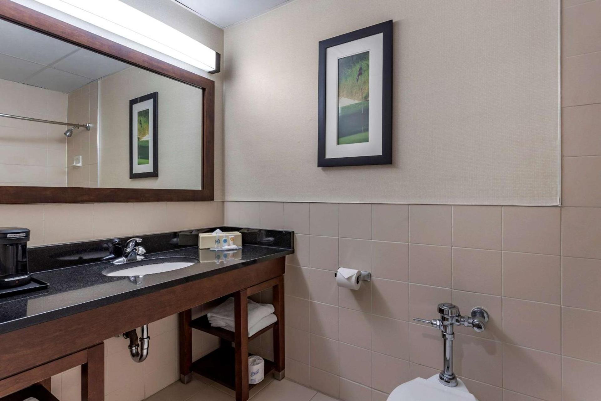 Comfort Inn Syosset-Long Island photo 30