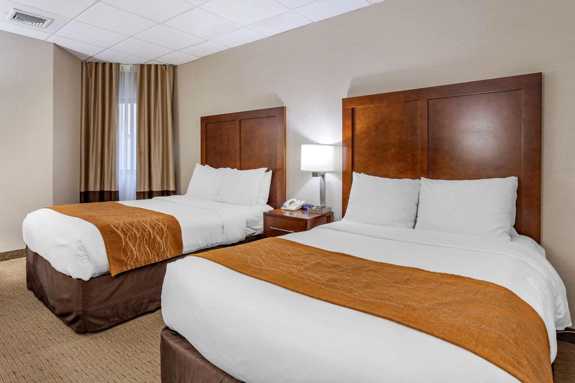 Comfort Inn Syosset-Long Island photo 35