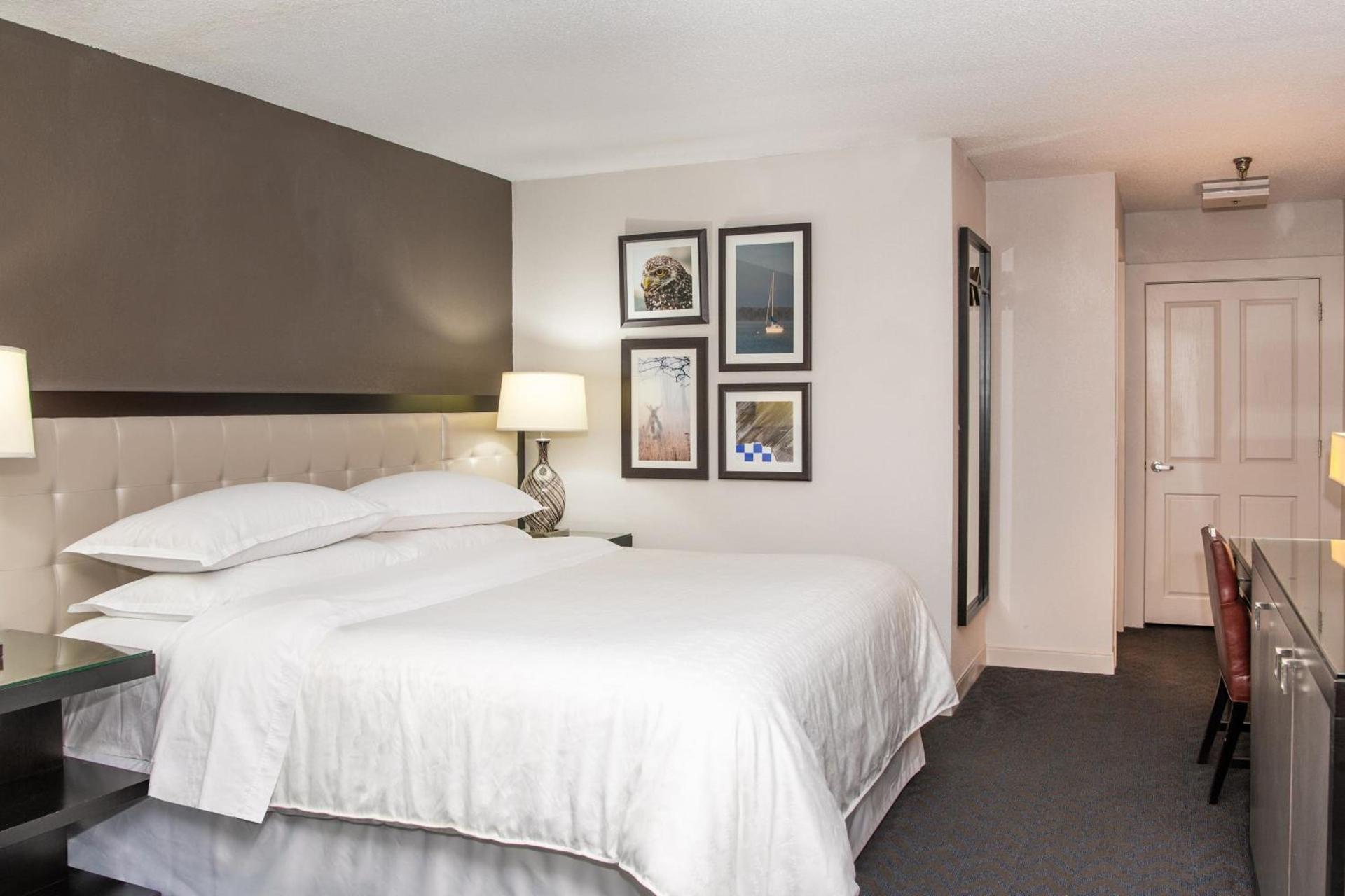 Sheraton Minneapolis West Hotel photo 11